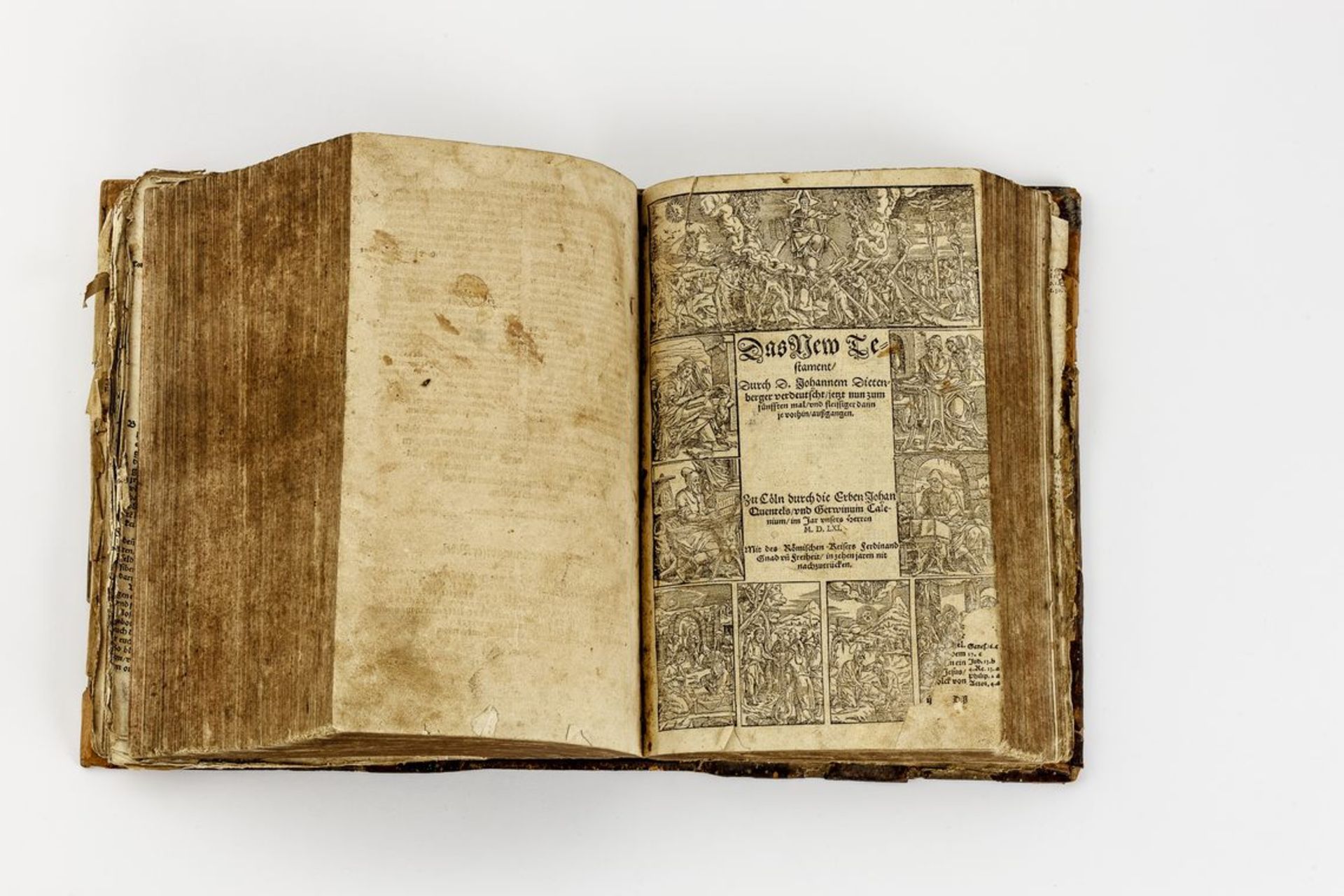 Biblia GermanicaVon Johannes Dietenberger. Köln, Quentels u. Caleniums Erben, 5. Aufl., 1561. Mit