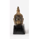 Kopf des BuddhasFarbig gefasst. Haupt mit geschlossenen Augen, reliefiertem Schneckenhaar und