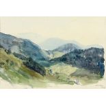 Riester, Rudolf1904 Waldkirch - 1999 Freiburg. Aquarell. Sommerliche Schwarzwaldlandschaft. U.r. mit