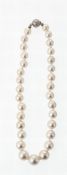 Perlenkette31 große, cremefarben lüstrierende Zuchtperlen im Verlauf gereiht und geknotet. Ø 12-17