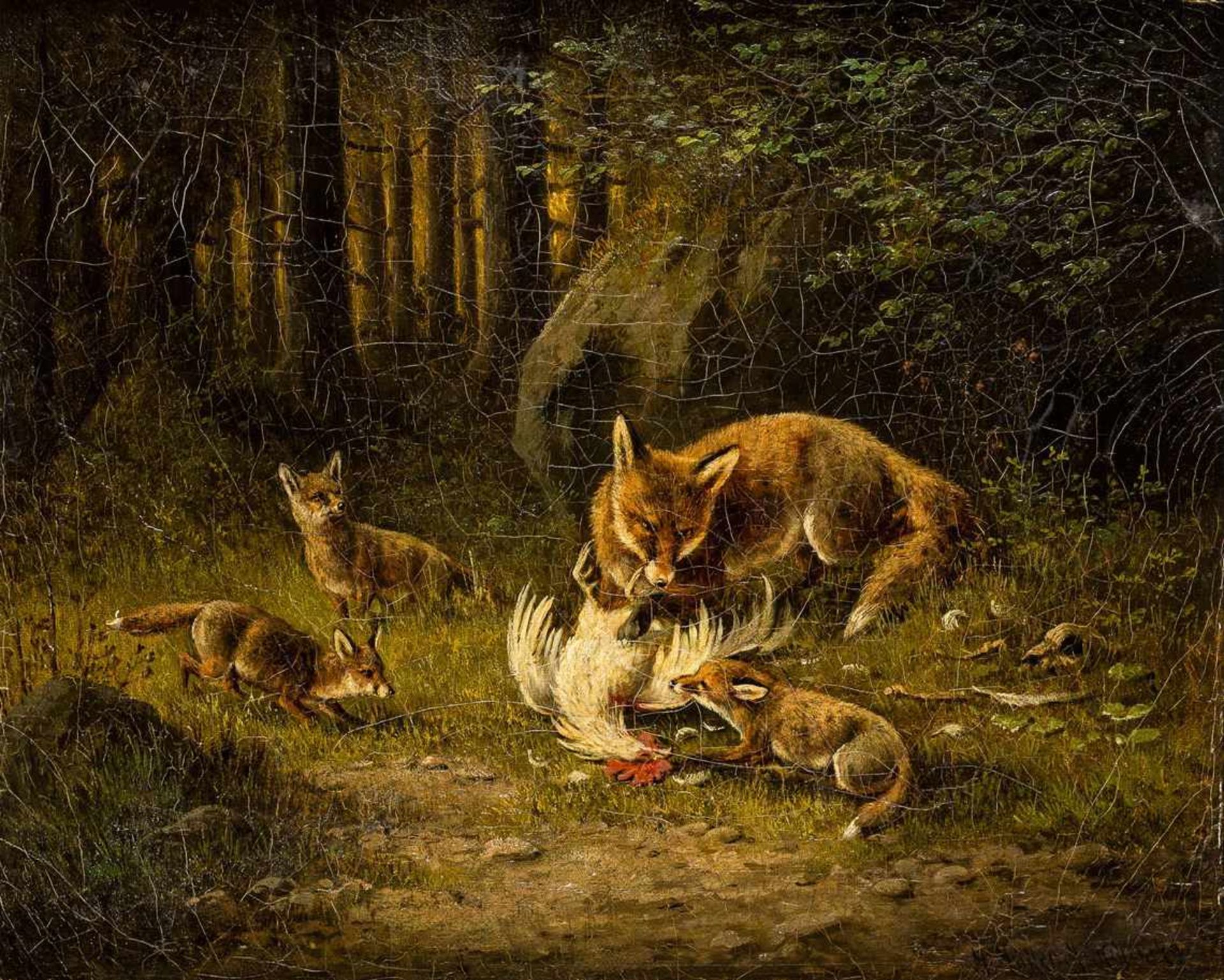 Müller, Moritz1841 München - 1899 ebd. Öl/Lw. Auf einer Waldlichtung Fuchsfamilie mit gerissenem