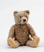 Steiff-Teddy ZottyCaramelfarbener Mohair (bespielt, an Pfote Riss, Stimme defekt). L. 51 cm