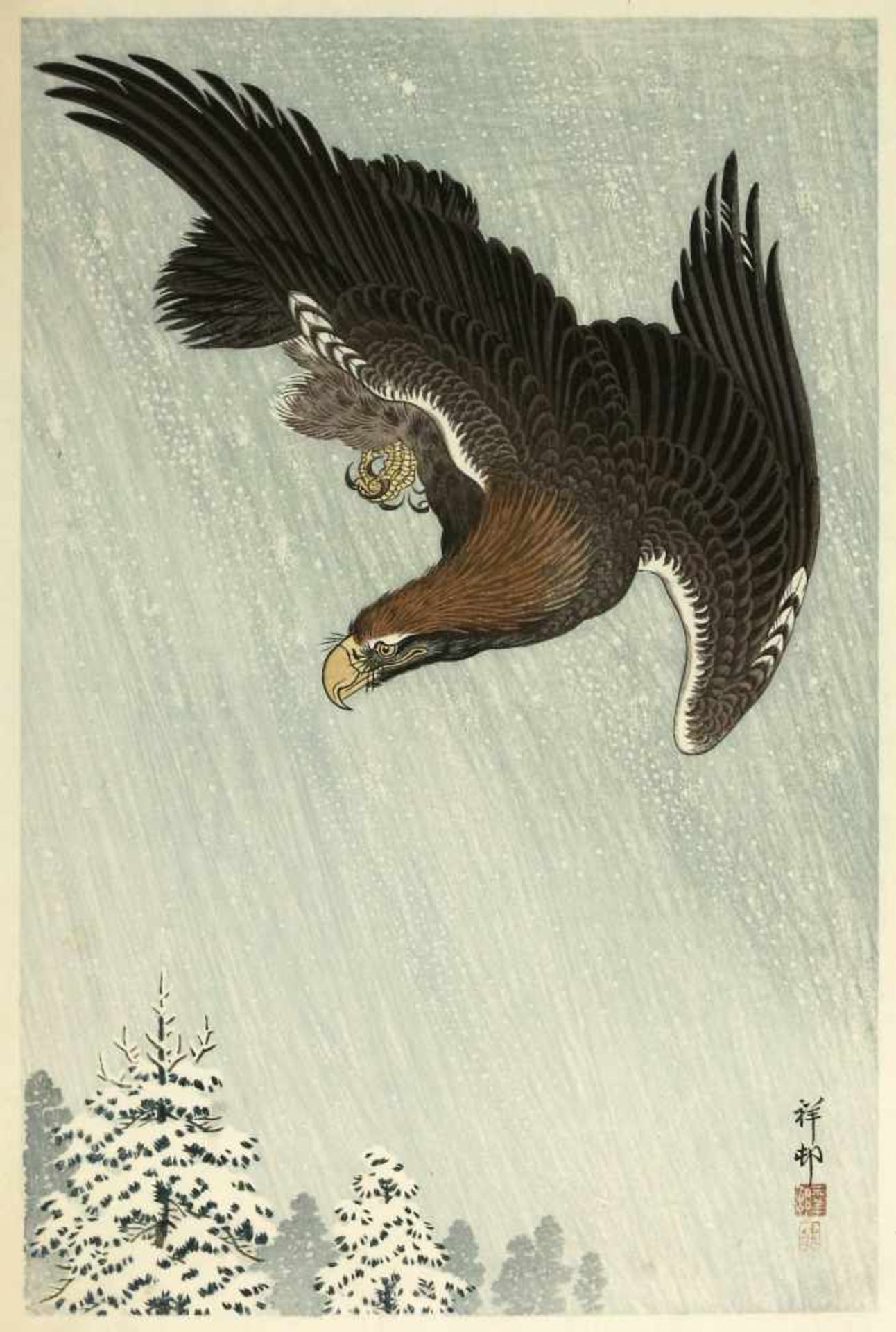 Japanischer Farbholzschnitt, Koson, Ohara (1877 Kanazawa - 1945 Tokio)Ein mächtiger Adler im