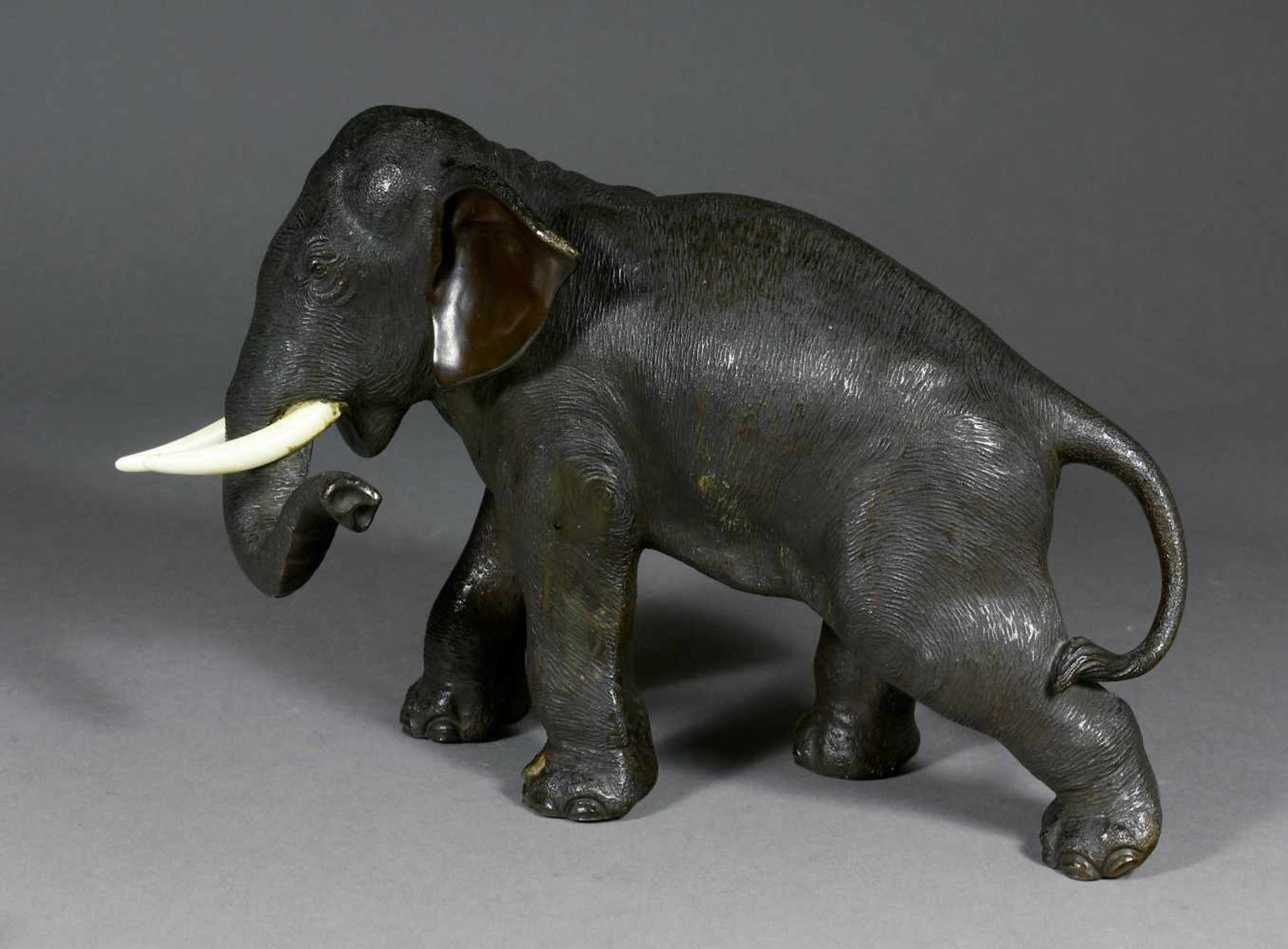 Japan, Bronze, Schreitender Elefant, Meijimit Elfenbein-Stoßzähnen. 17,5 x 27 x 9 cm. Am Bauch mit