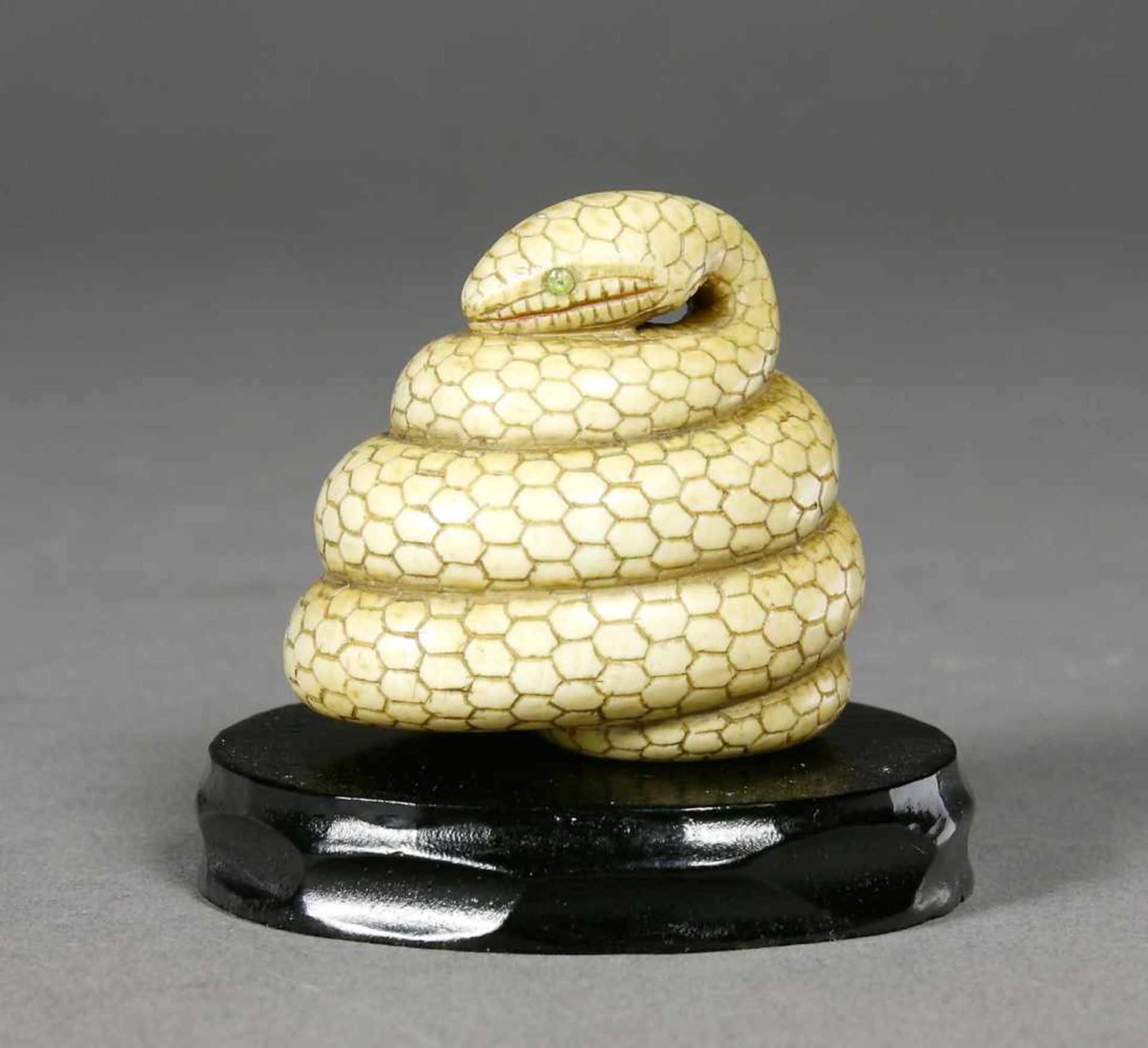 Japan, Netsuke, Elfenbein, MeijiSchlange, zur Pyramide aufgerollt. Eingelegte Glasaugen. H.: 3,3 cm.