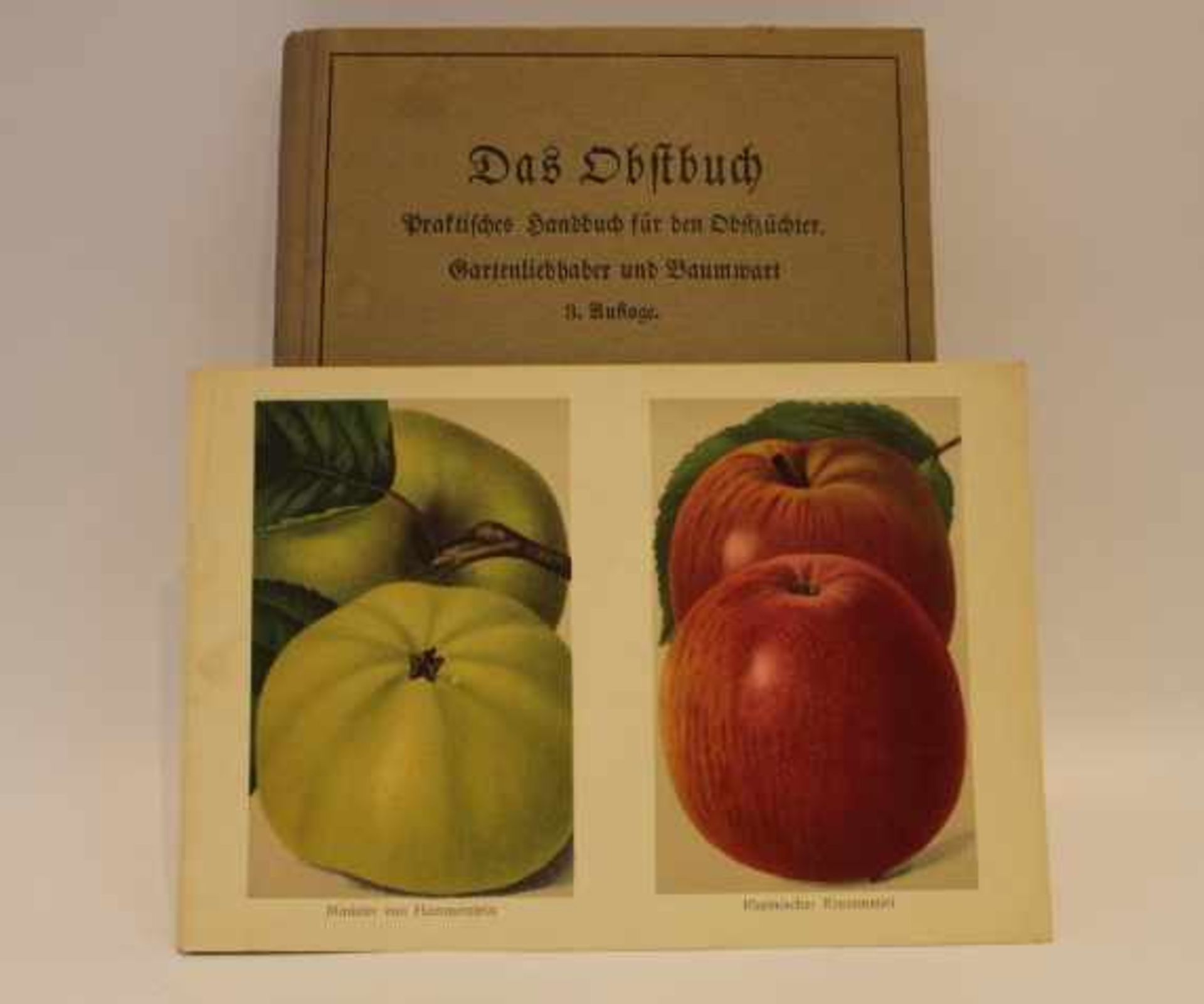 Das ObstbuchPraktisches Handbuch für den Obstzüchter,Gartenliebhaber und BaumwartVerlag von Eugen - Image 2 of 2