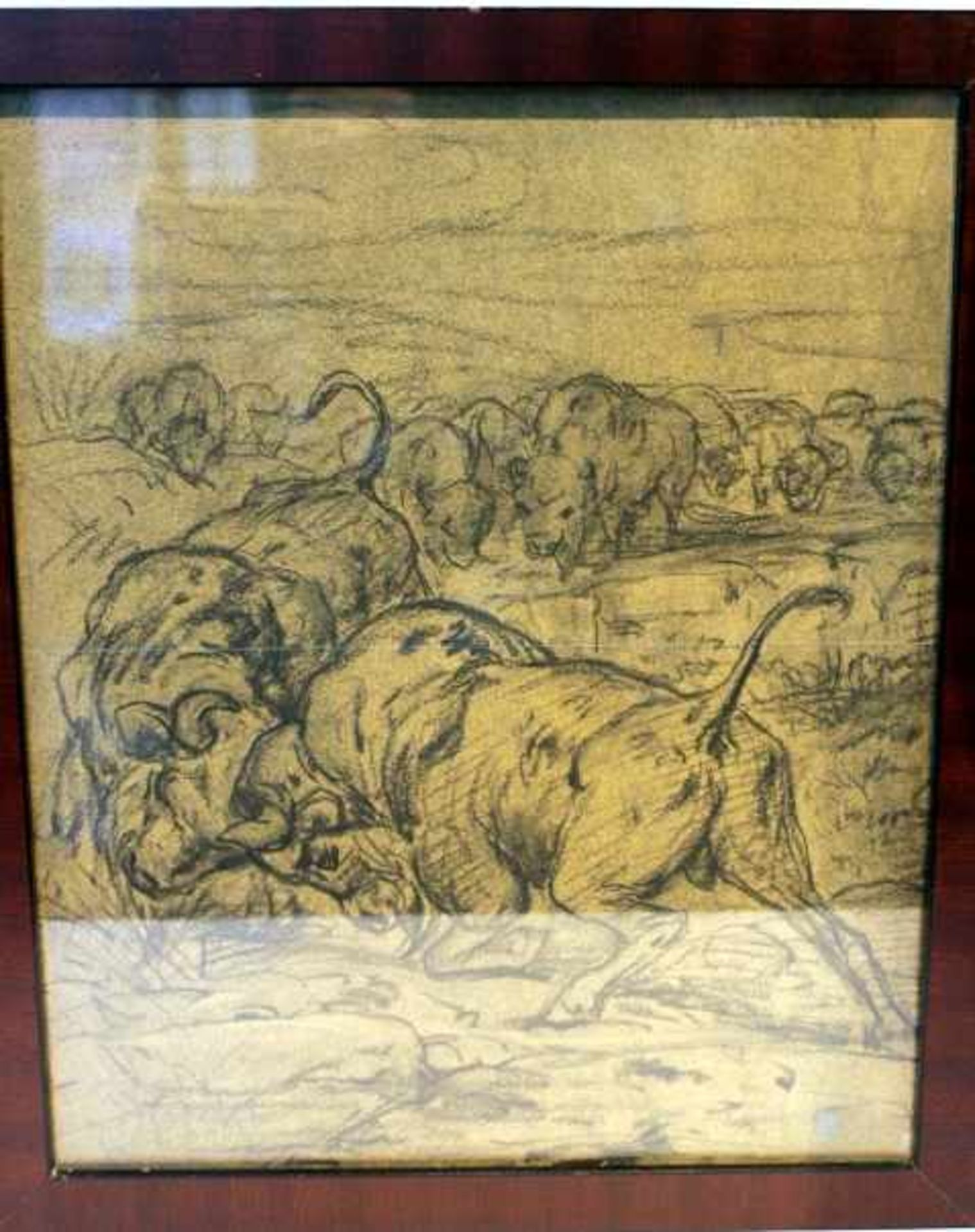 Specht Friedrich 1839-1909« Bisons » Bleistiftr.o.bez.Americali.u.handsigniert32x39cmgerahmt