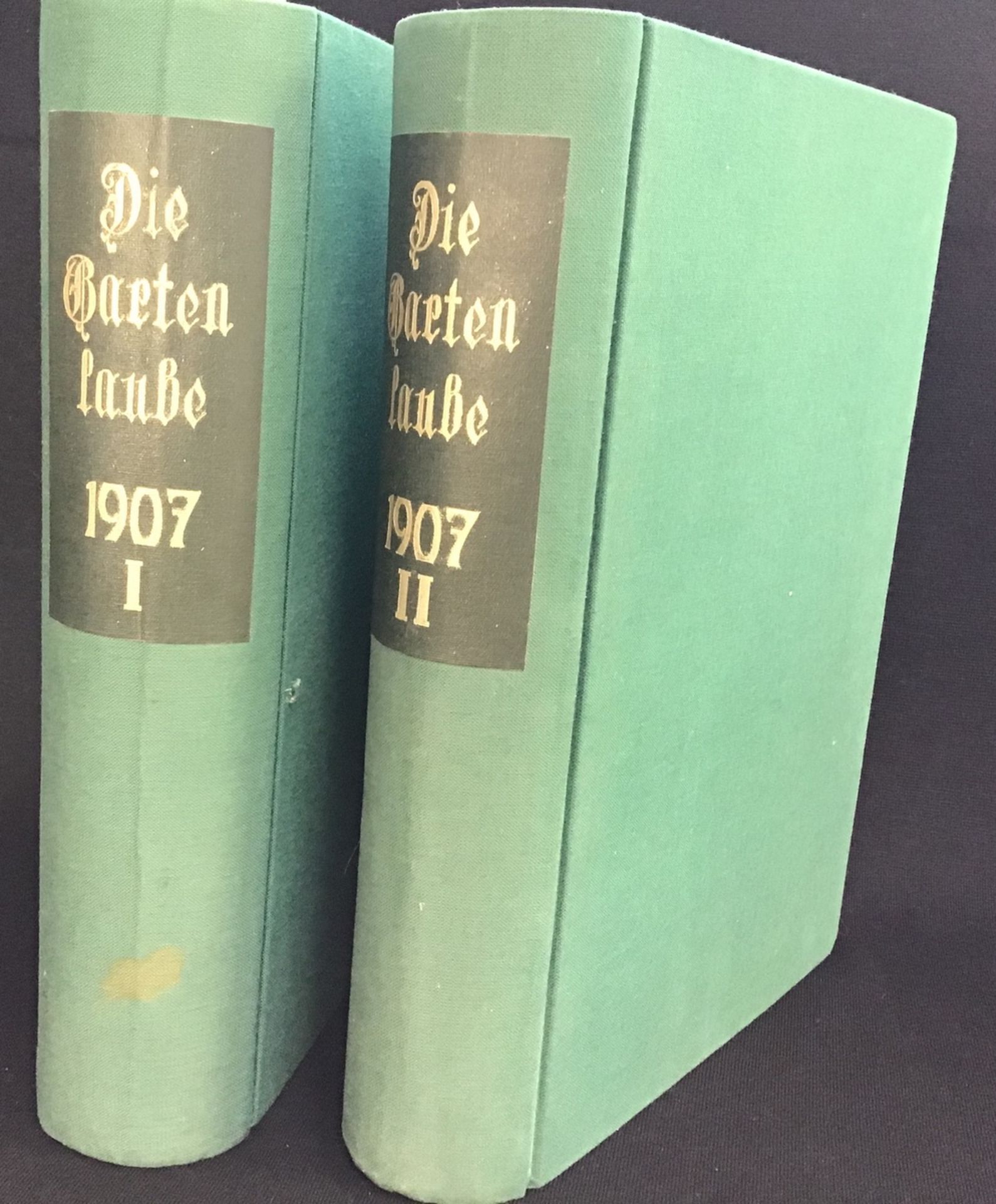 Gebundene Ausgabe "Gartenlaube 1907", Band I u.II, Druck und Verlag v. Ernst Keil`s Nachf.August