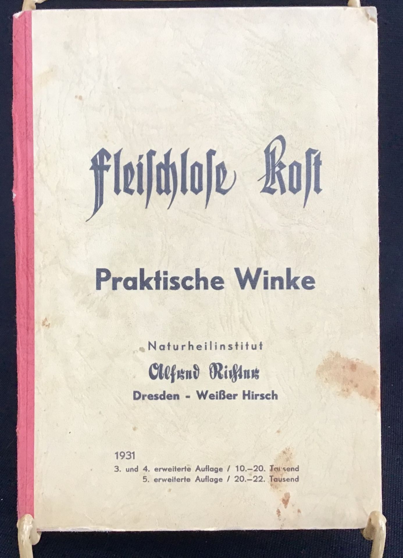 " Fleischlose Kost", praktische Winke, Naturheilinstitut Alfred Richter (Heilmagnetiseur) Dresden