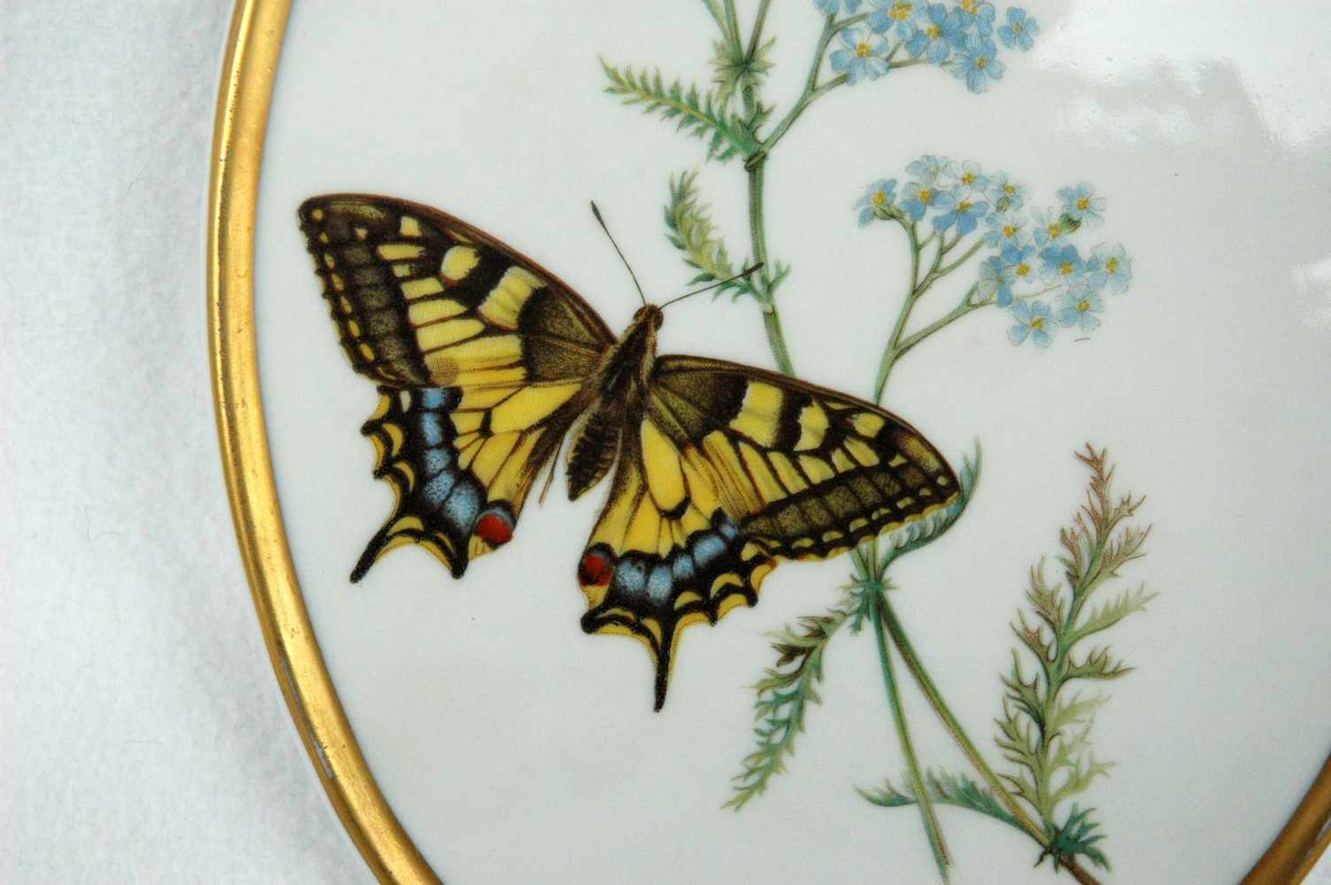 2 ovale Wandplatten, Gerold-Porzellan, mit Schmetterling-Dekor, Goldrand etwas berieben, h= 21 cm - Bild 3 aus 3