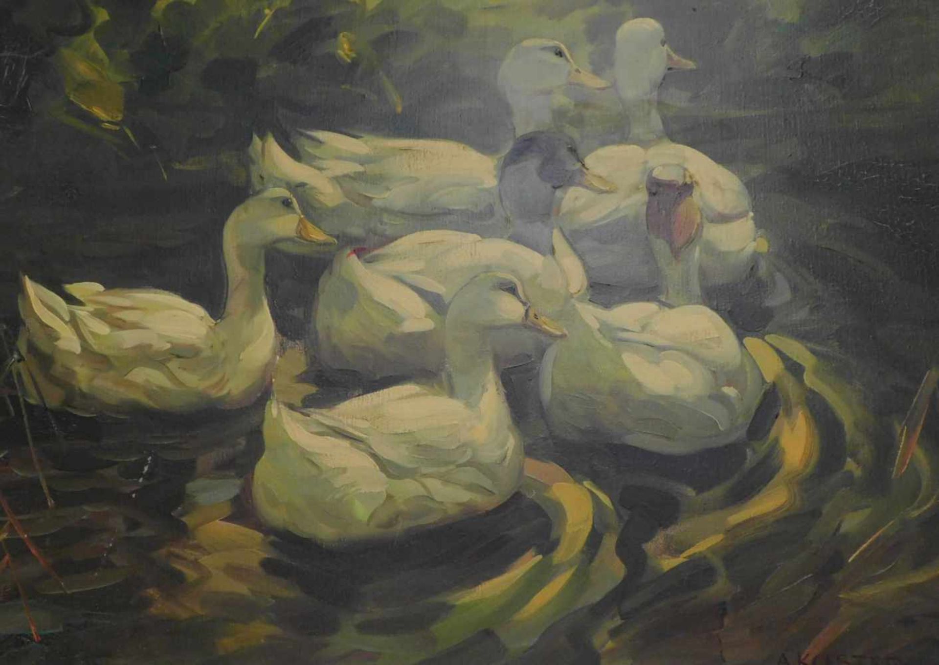 Alexander Köster, 1864-1932, Sechs Enten im Wasser, Öldruck auf Leinwand, m.R.im Druck signiert - Bild 2 aus 3