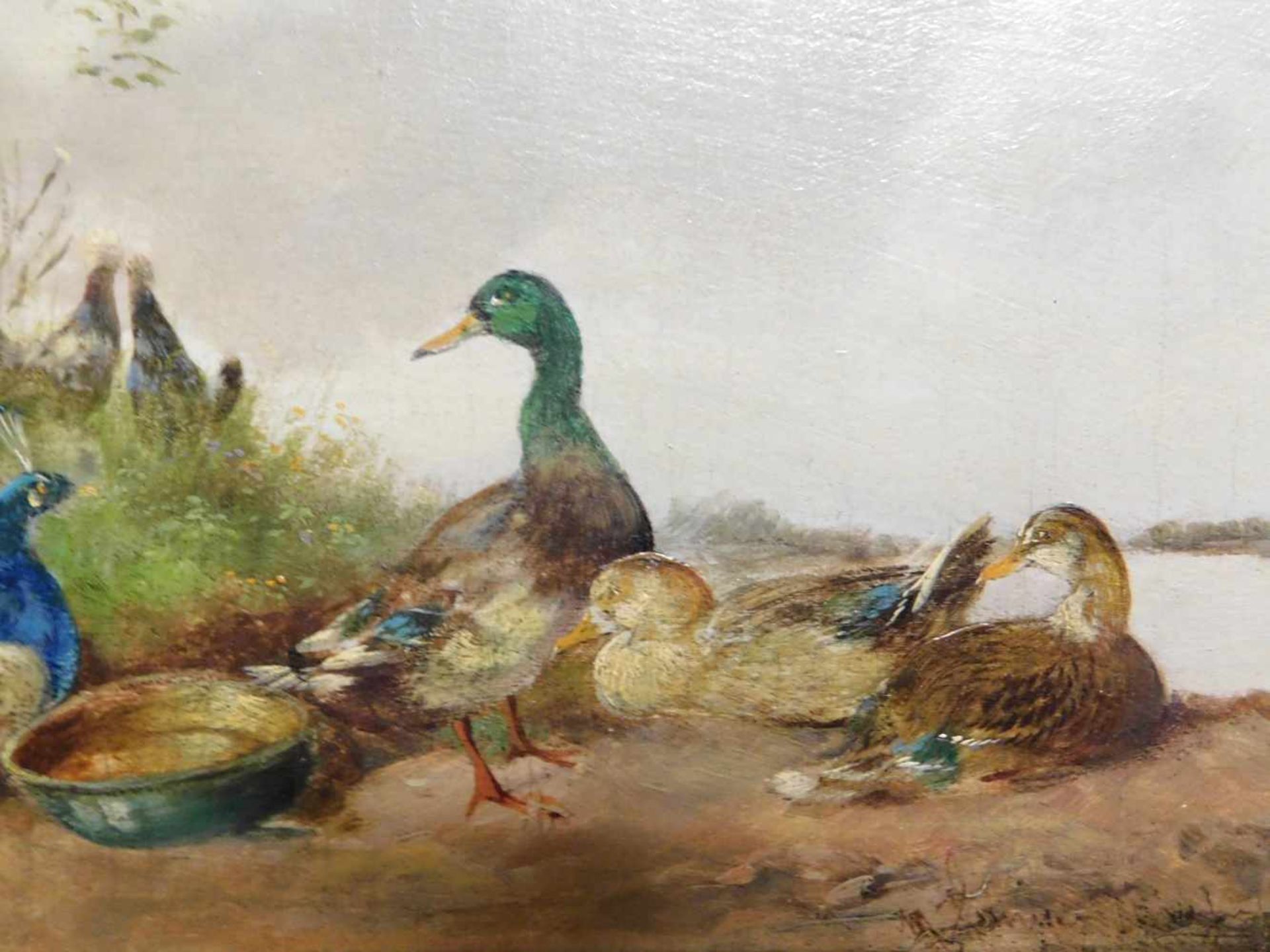 Max Hänger,d. Ä.,deutscher Tiermaler 1874 München bis 1941 Fürstenfeldbruck, Pfauen und Enten am - Bild 4 aus 6