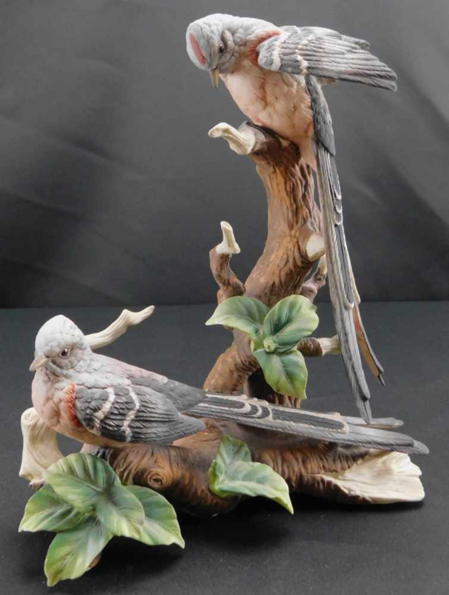 Royal Meridian, 2 Vögel auf einem Ast sitzend, Bisquitporzellan, limitierte Weltauflage, exclusiv - Image 2 of 5