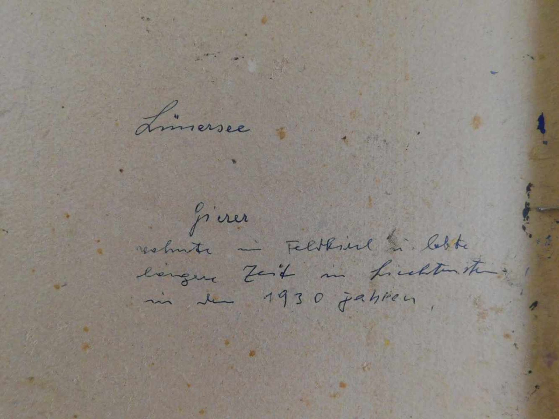 F. Gierer, Lünersee, Öl auf Platte, signiert unten links, Mitte 20. Jhdt., m.R.rückseitig - Image 5 of 5