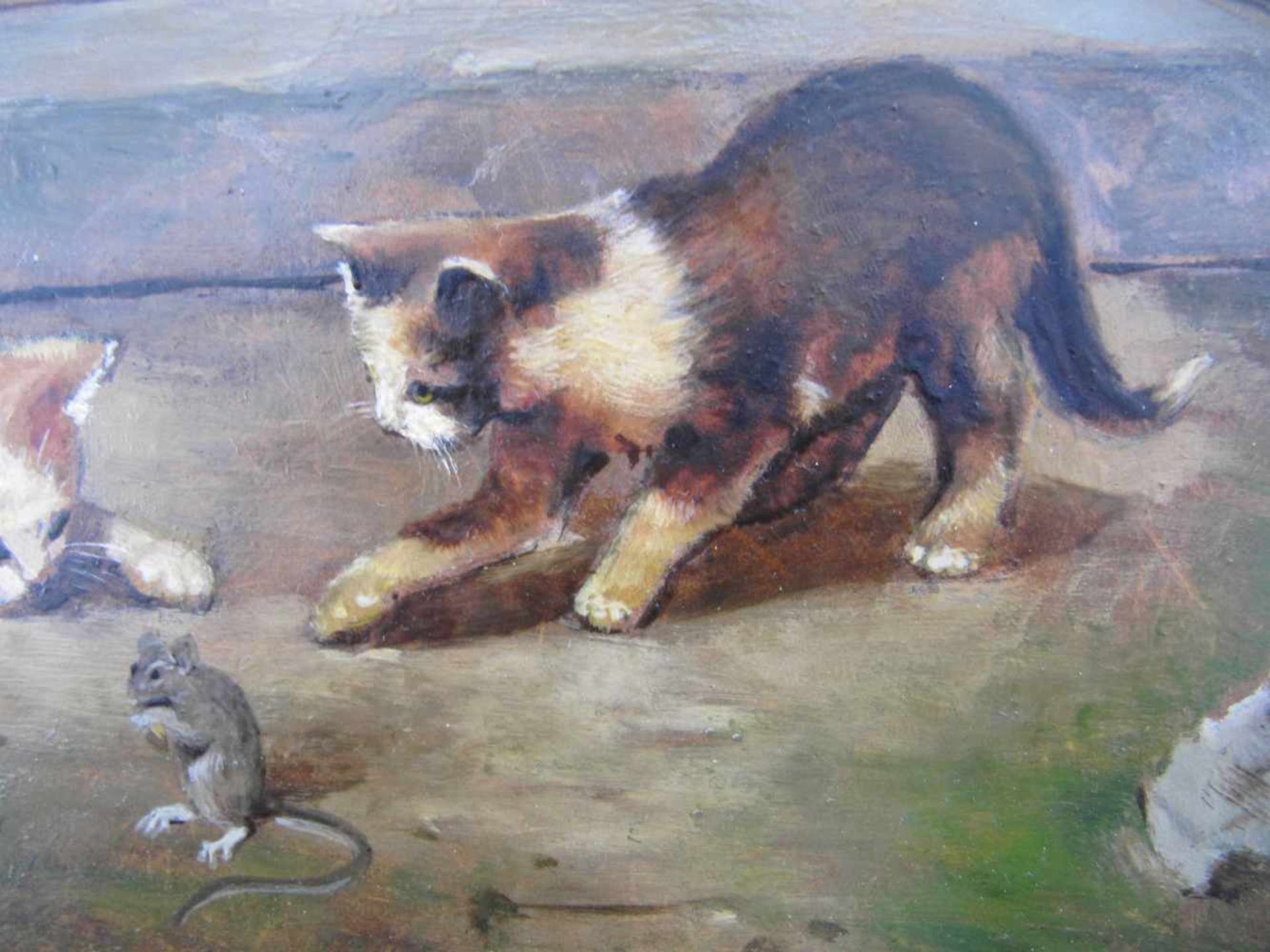 Erich Josef Dogarth, (Österreich *1927 - 2008), Spielende Kätzchen,, Öl auf Platte, m.R.Signiert - Bild 4 aus 7