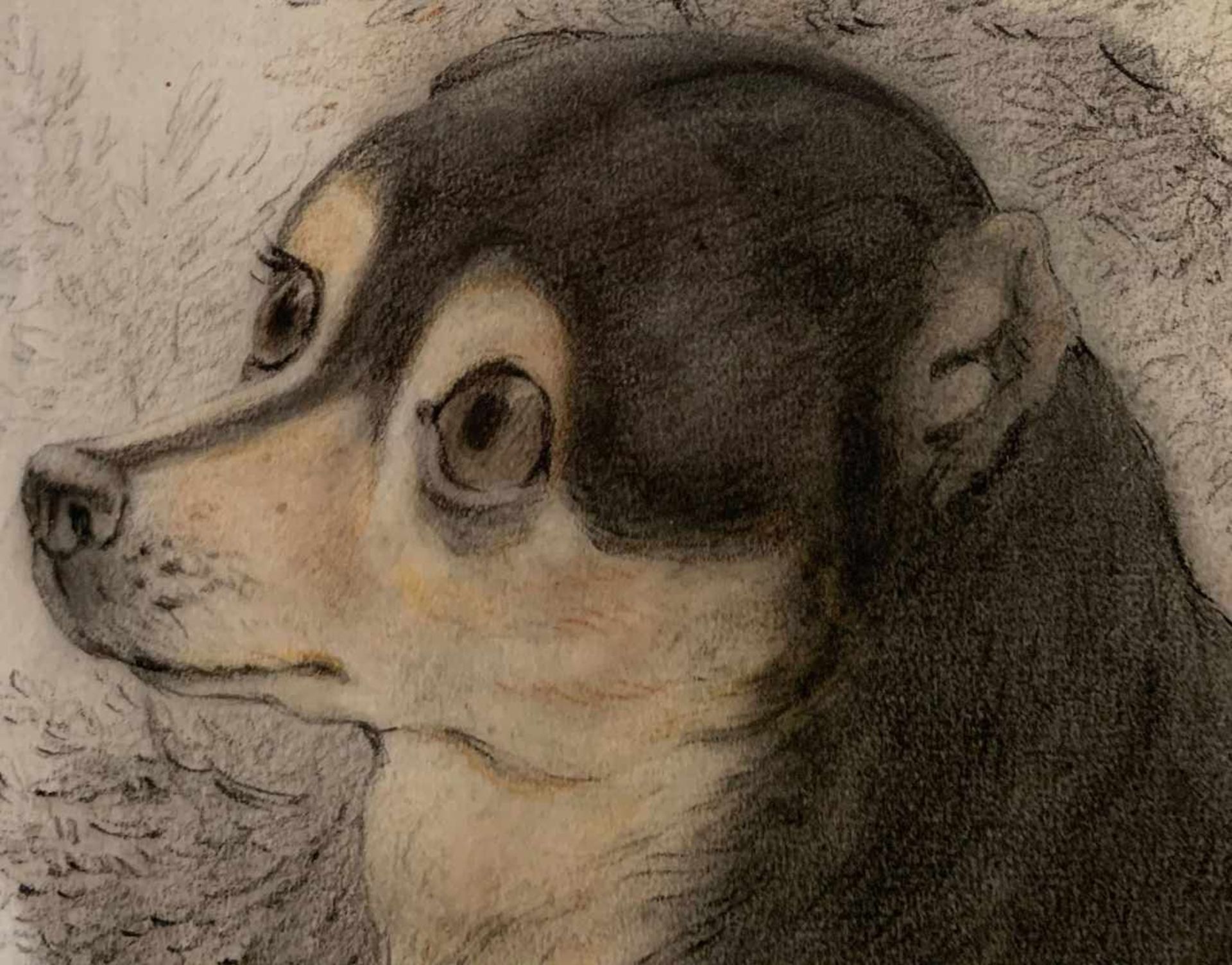 Cosnard. Porträt eines Hundes. Portrait of a dog. "Présenté à bonne maman." Zeichnung um 1820, - Bild 5 aus 5