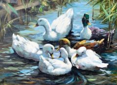 Enten im Teich. Öl/Lwd, signiert, 70 x 100 cm