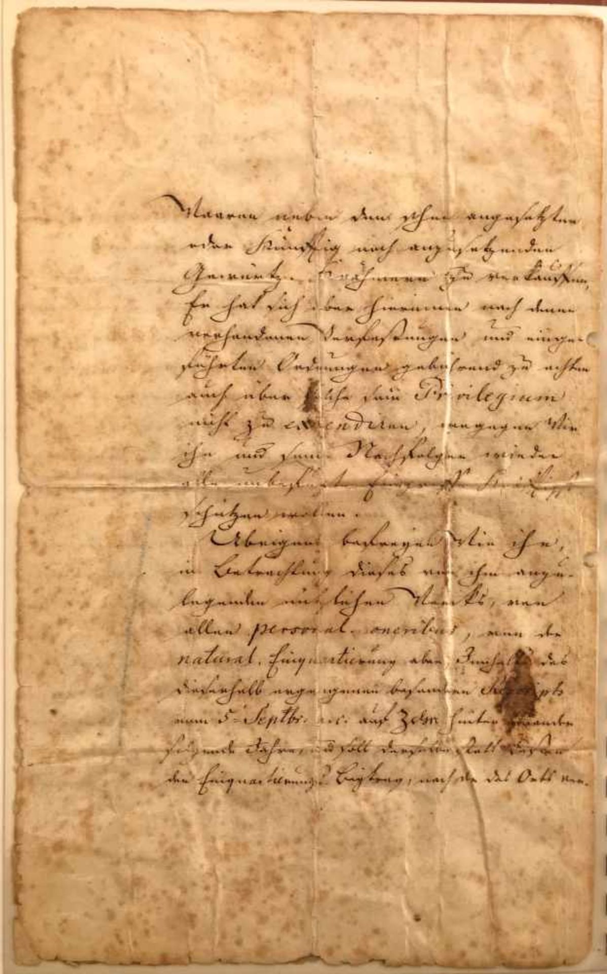 Urkunde Autograph König Friedrich II von Preußen, genannt Friedrich der Große bzw der Alte Fritz, - Bild 2 aus 4