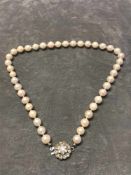 Perlenkette mit blütenförmiger 585er WG Schließe besetzt mit Diamanten (Altschliffe, einer fehlt),
