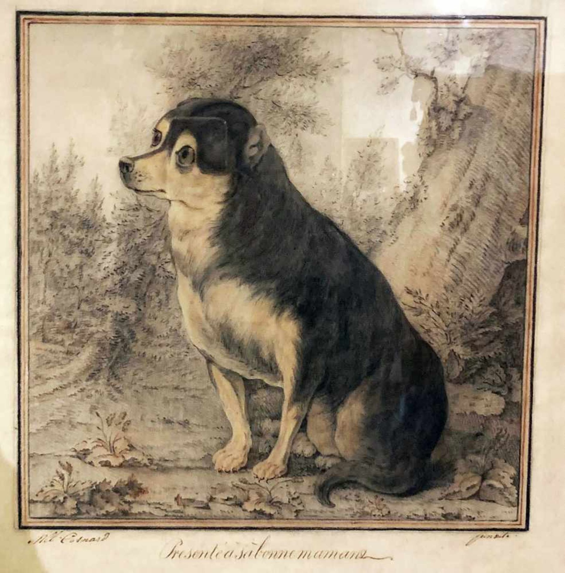 Cosnard. Porträt eines Hundes. Portrait of a dog. "Présenté à bonne maman." Zeichnung um 1820,