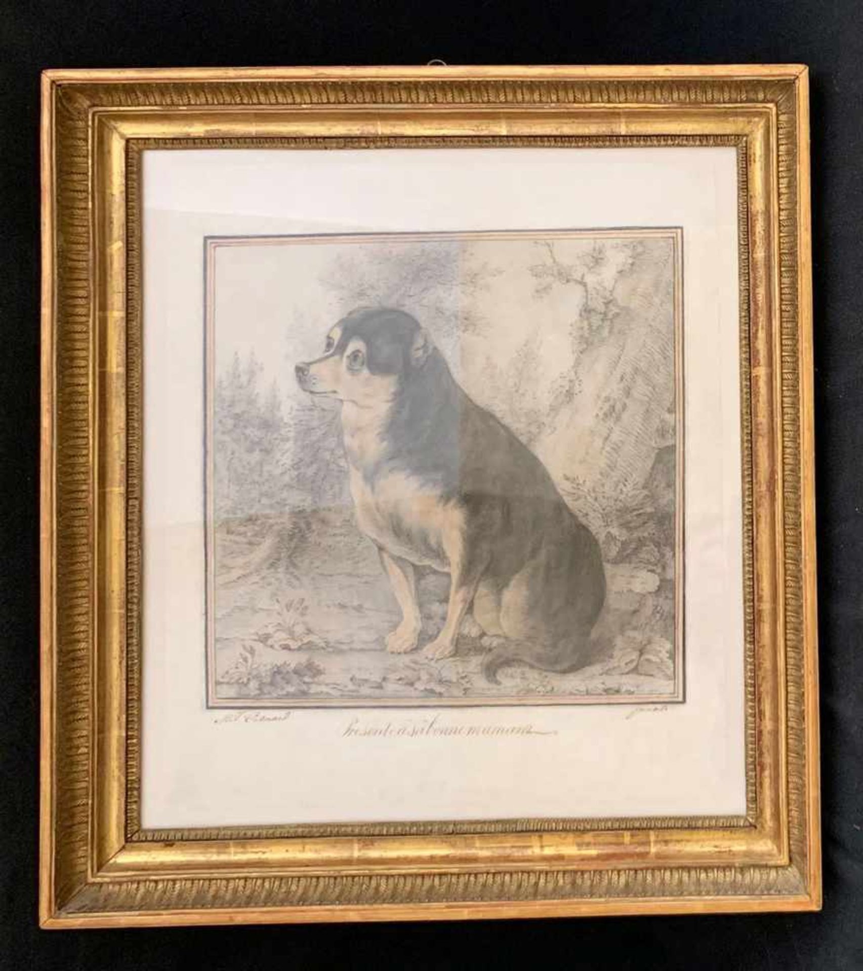 Cosnard. Porträt eines Hundes. Portrait of a dog. "Présenté à bonne maman." Zeichnung um 1820, - Bild 2 aus 5