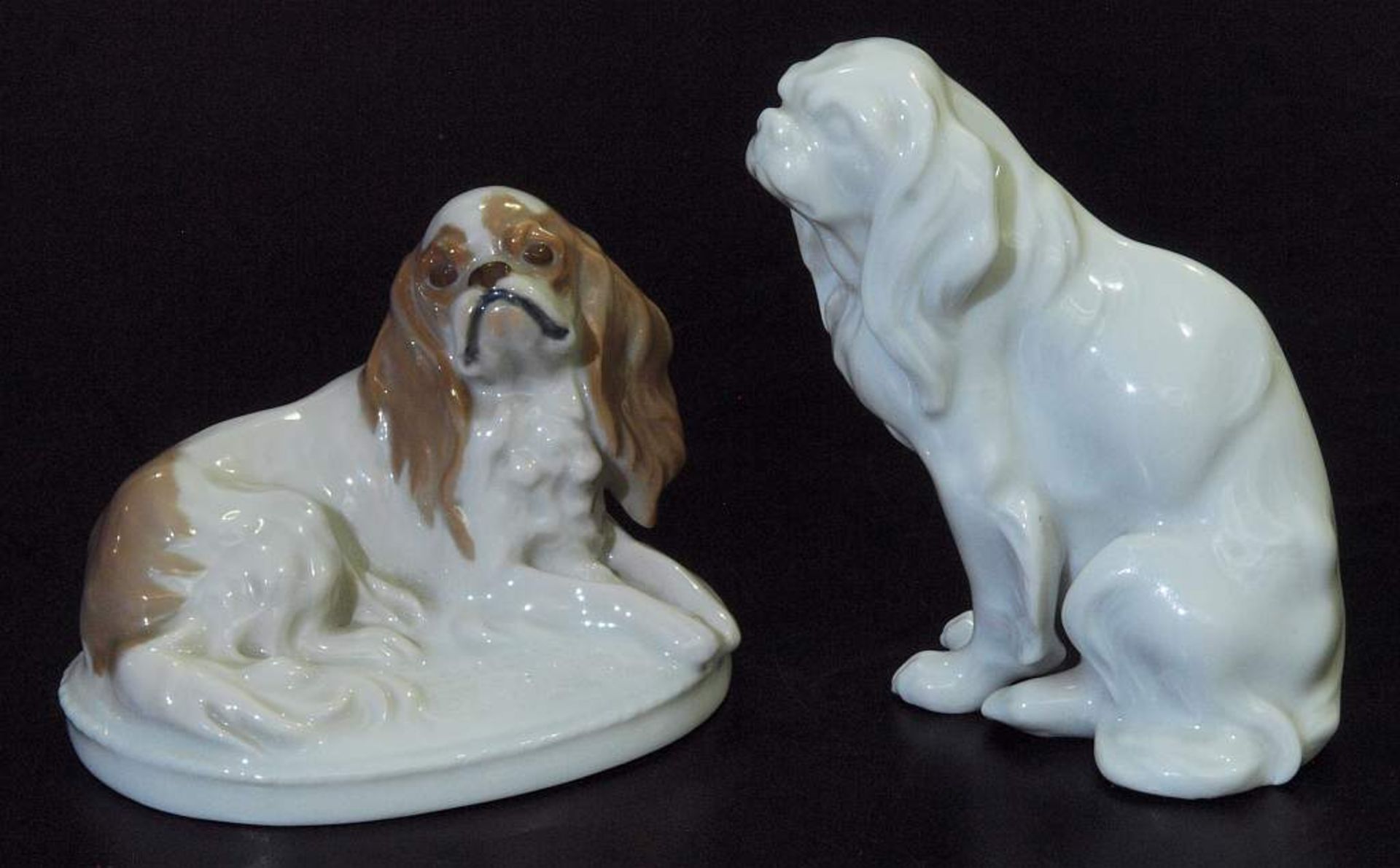 Zwei "King Charles"-Hundefiguren. Zwei "King Charles"-Hundefiguren. ROSENTHAL, 20. Jahrhundert. 1) - Image 2 of 6
