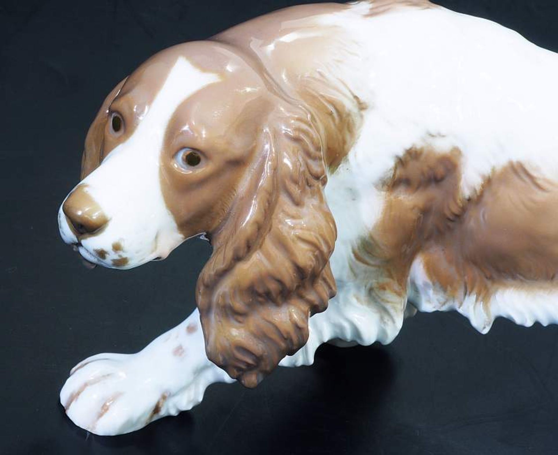 Jagdhund "English Setter". Laufender Setter. ROSENTHAL Bavaria, 20. Jahrhundert Modell Nr. 586. - Bild 4 aus 6