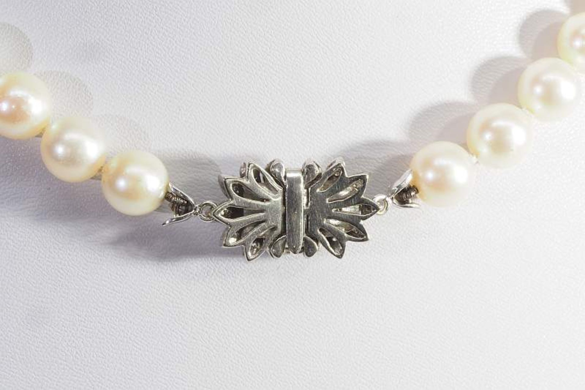 Akoja-Zucht-Perlenkette. Akoja-Zucht-Perlenkette, Schmuckverschluß 750er Weißgold mit Diamanten. - Bild 4 aus 6