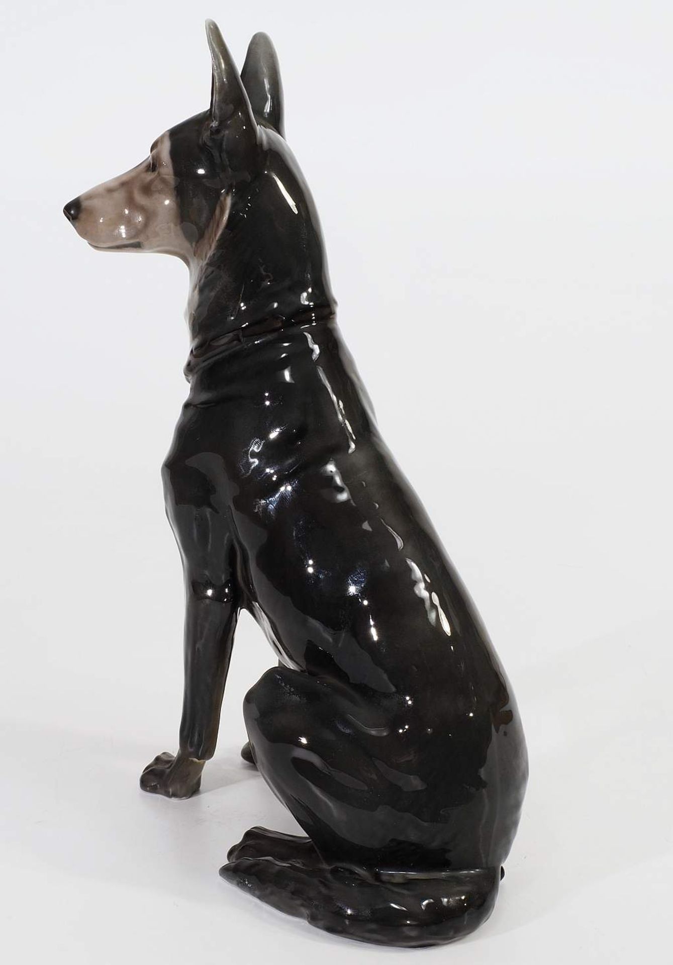 DILLER; Fritz. Sitzender Deutscher Schäferhund. ROSENTHAL Selb Bavaria. DILLER; Fritz. Sitzender - Bild 4 aus 6