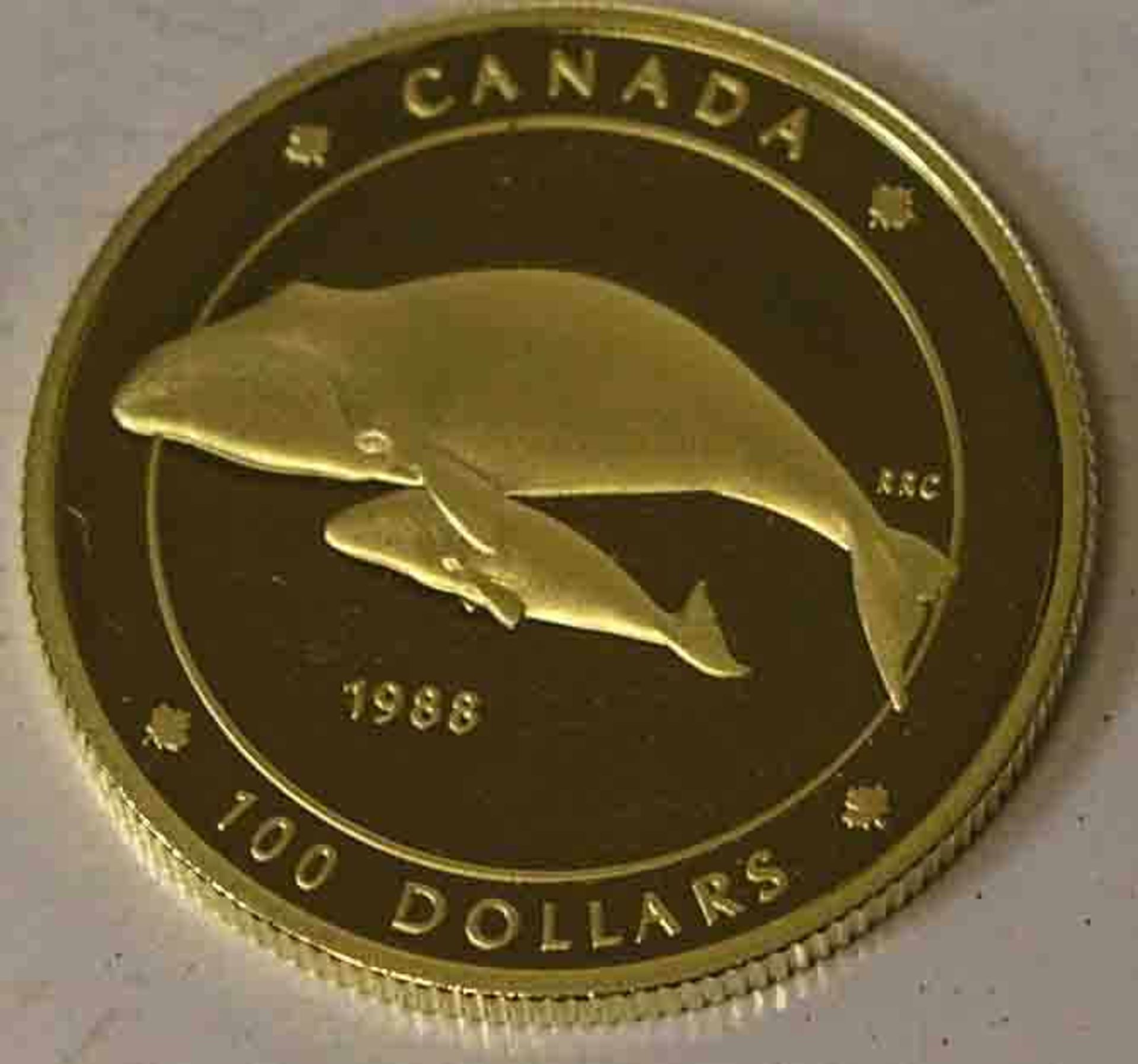 100 Dollars Canada, 1988, 1/4 Unze.