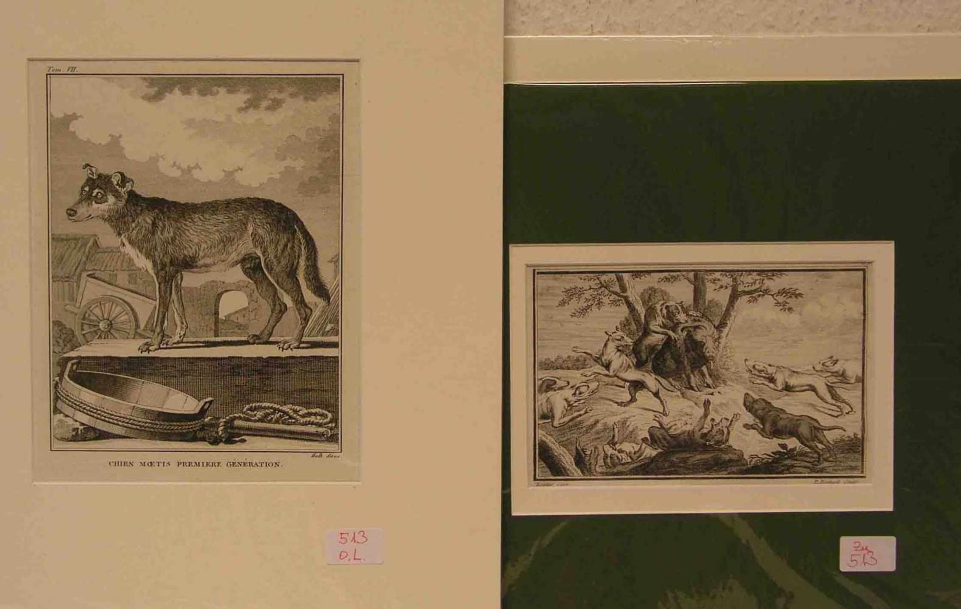 "Hunde". Drei Blatt. Dabei: Boitard: "Jagdhunde". Kupferstich um 1750. "Wachhund", Lithovon C.