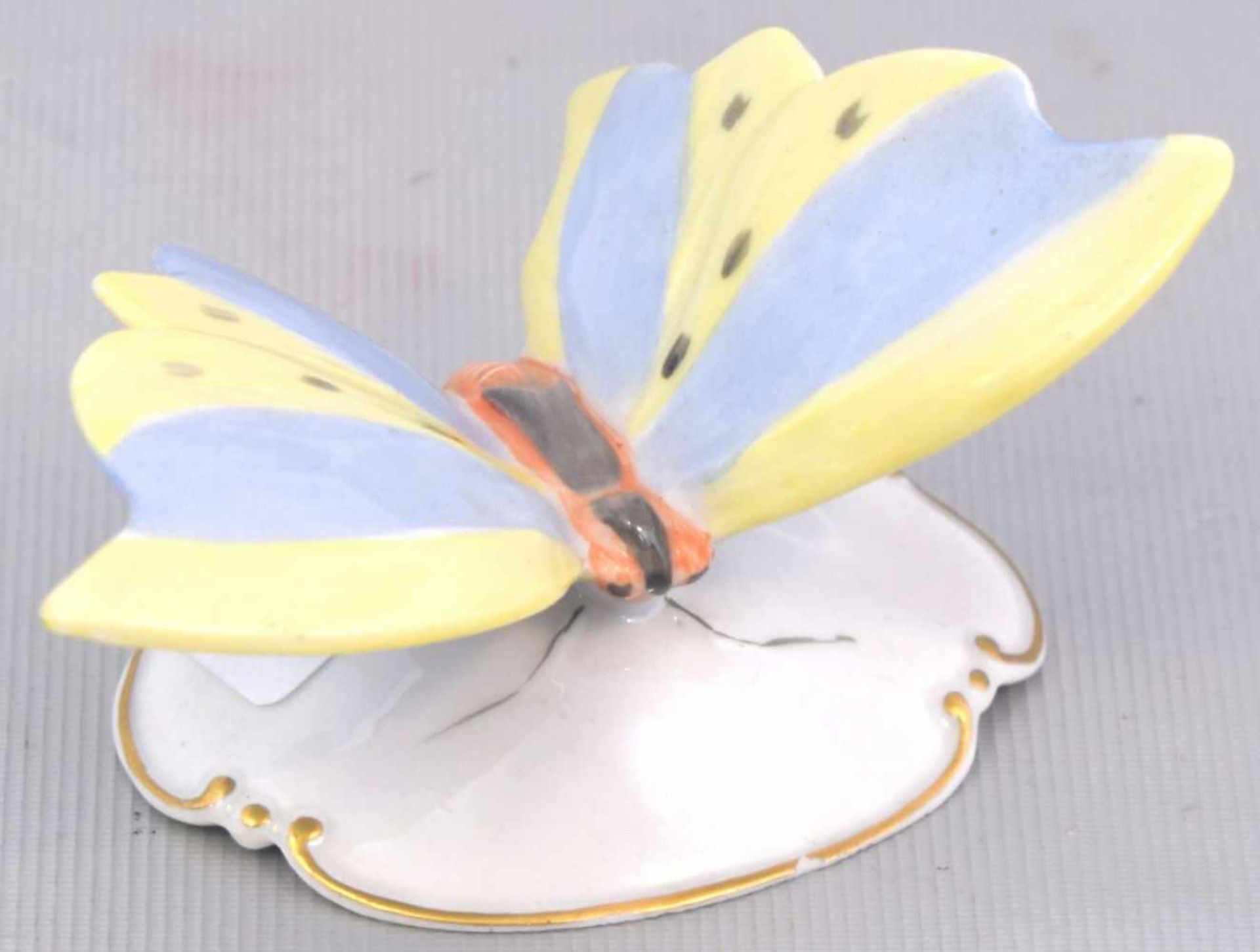 Schmetterlingauf Rocaillensockel, bunt bemalt, leicht best., H 5 cm, B 8 cm, FM Rosenthal