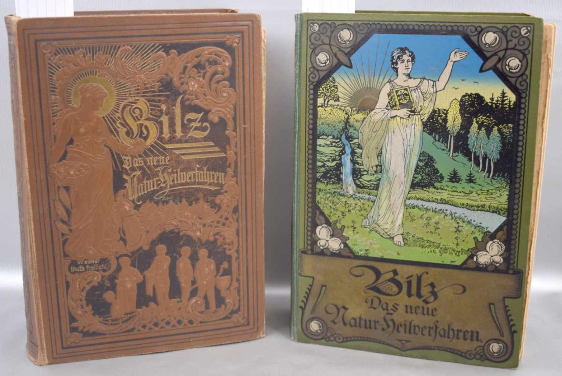 Zwei BücherDas neue Naturkundeheilbuch, verschiedene Ausführungen, Herausgeber F.E. Bilz, Leipzig,