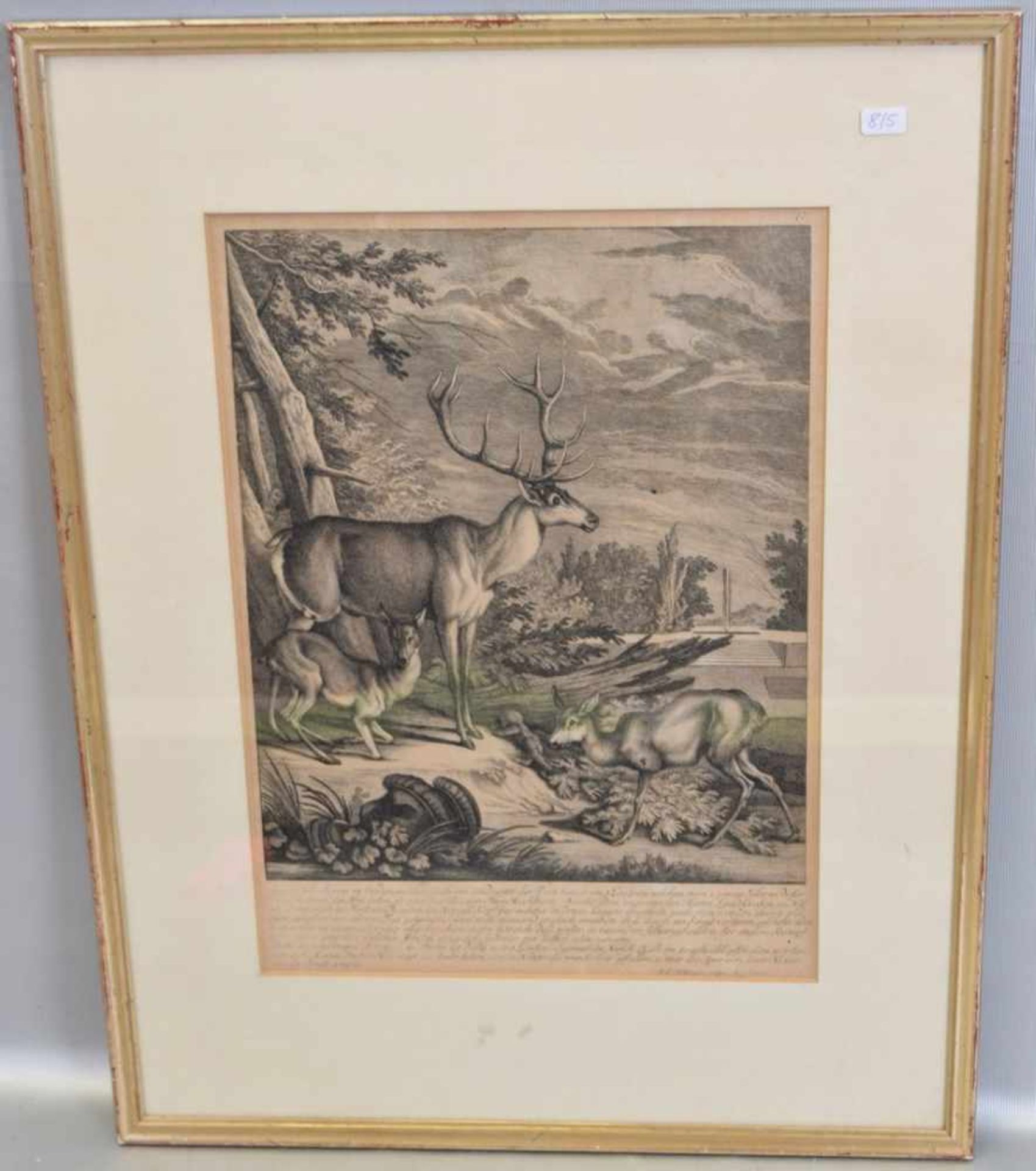 LithografieRotwild am Bachlauf, von Ridinger, 26 X 36 cm, im Rahmen, Mitte 19. Jh.