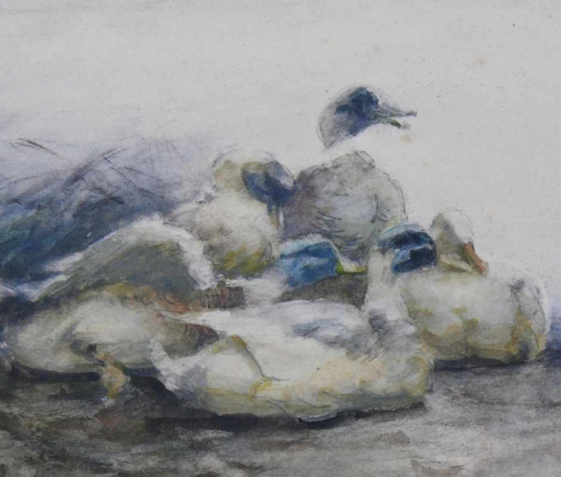 Koester, Alexander (1864 Bergneustadt - 1932 München)"6 Enten am Schilfufer"; Aquarell; ca. 14 x - Bild 6 aus 7