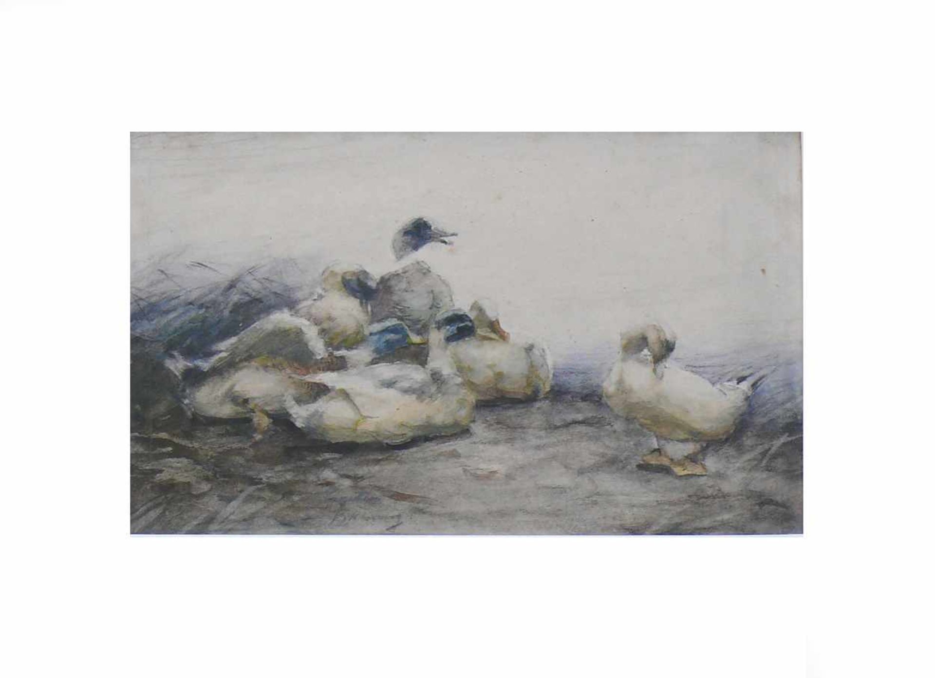 Koester, Alexander (1864 Bergneustadt - 1932 München)"6 Enten am Schilfufer"; Aquarell; ca. 14 x