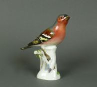 Buchfink (Meissen, 1860 - 1924)auf Baumstumpf sitzend; Blattwerk tlw. best.; Spitze des Schnabels