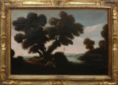 Niederländischer Meister (17./18.Jh.)"Weite Landschaft"; im Vordergrund mächtige Baumgruppe; davor