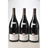 Nuits St Georges Magnums 2009 Gachot Monot