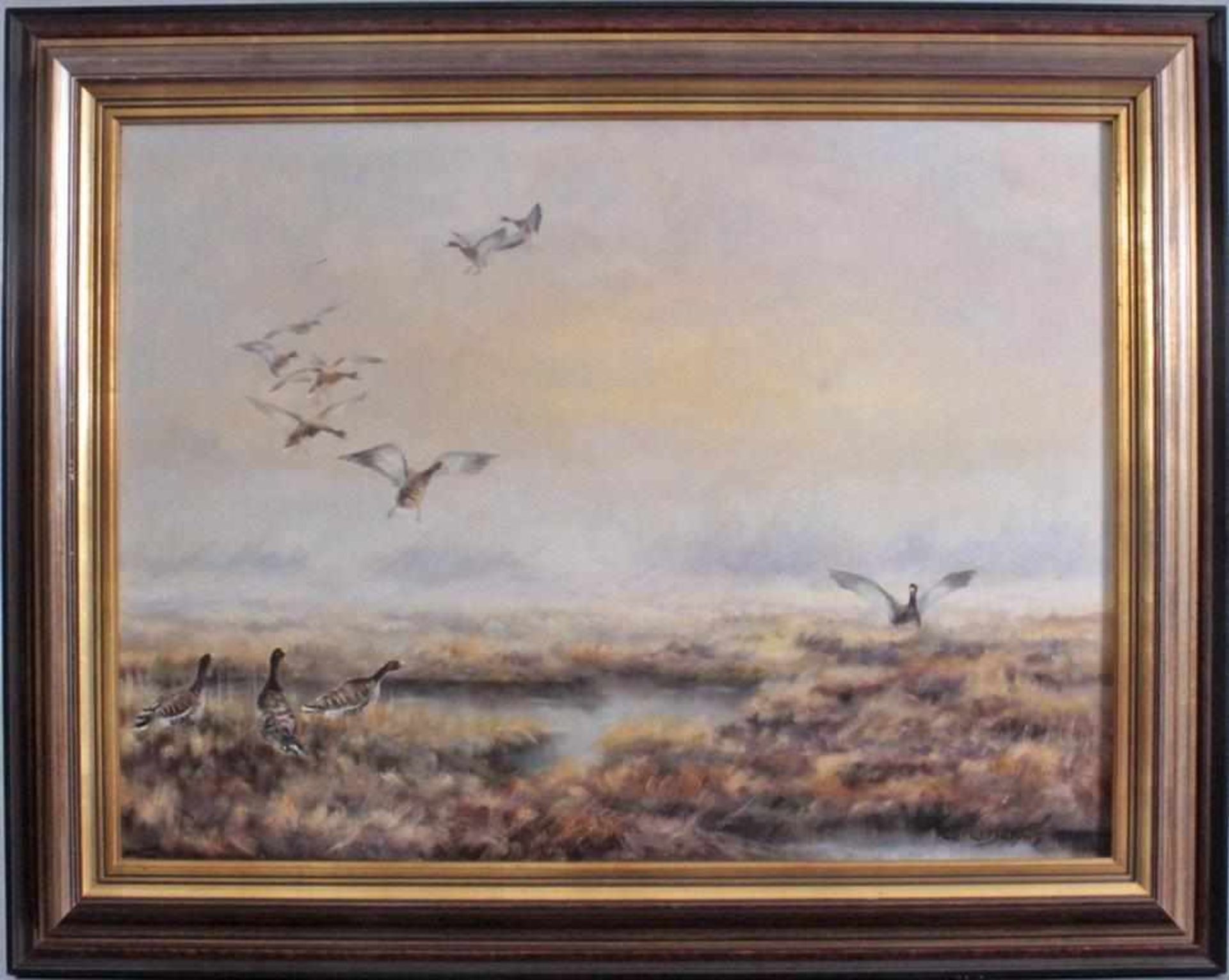 Paul W. Dahms (1913-1988). "Landende Wildenten im Moor"Öl auf Leinwand gemalt, unten rechts