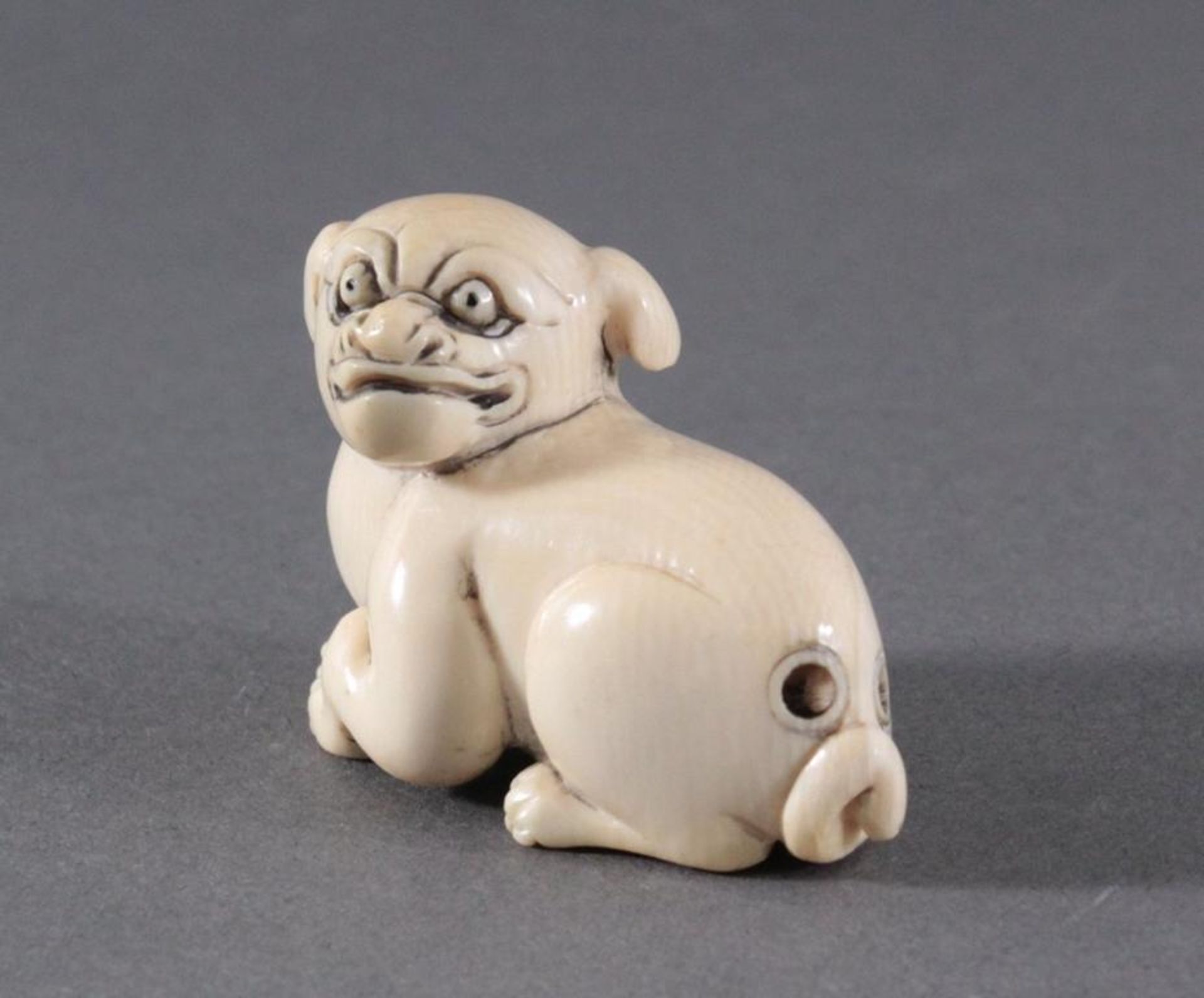 Netsuke, Japan 1. Hälfte 20. Jh., Elfenbein geschnitztliegender Hund, signiert, ca. 3,3 x 4,6 x 2, - Bild 2 aus 4