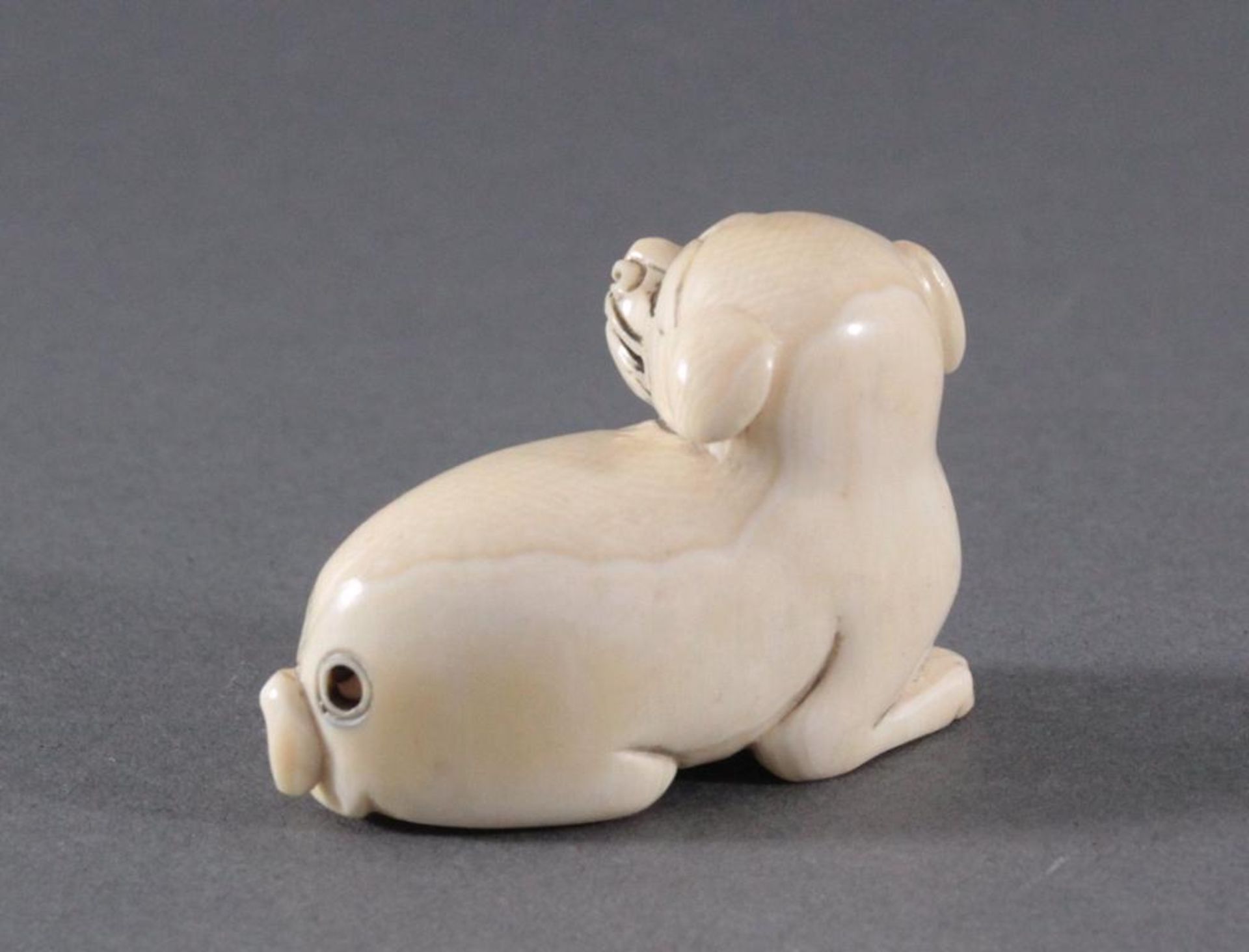 Netsuke, Japan 1. Hälfte 20. Jh., Elfenbein geschnitztliegender Hund, signiert, ca. 3,3 x 4,6 x 2, - Bild 3 aus 4