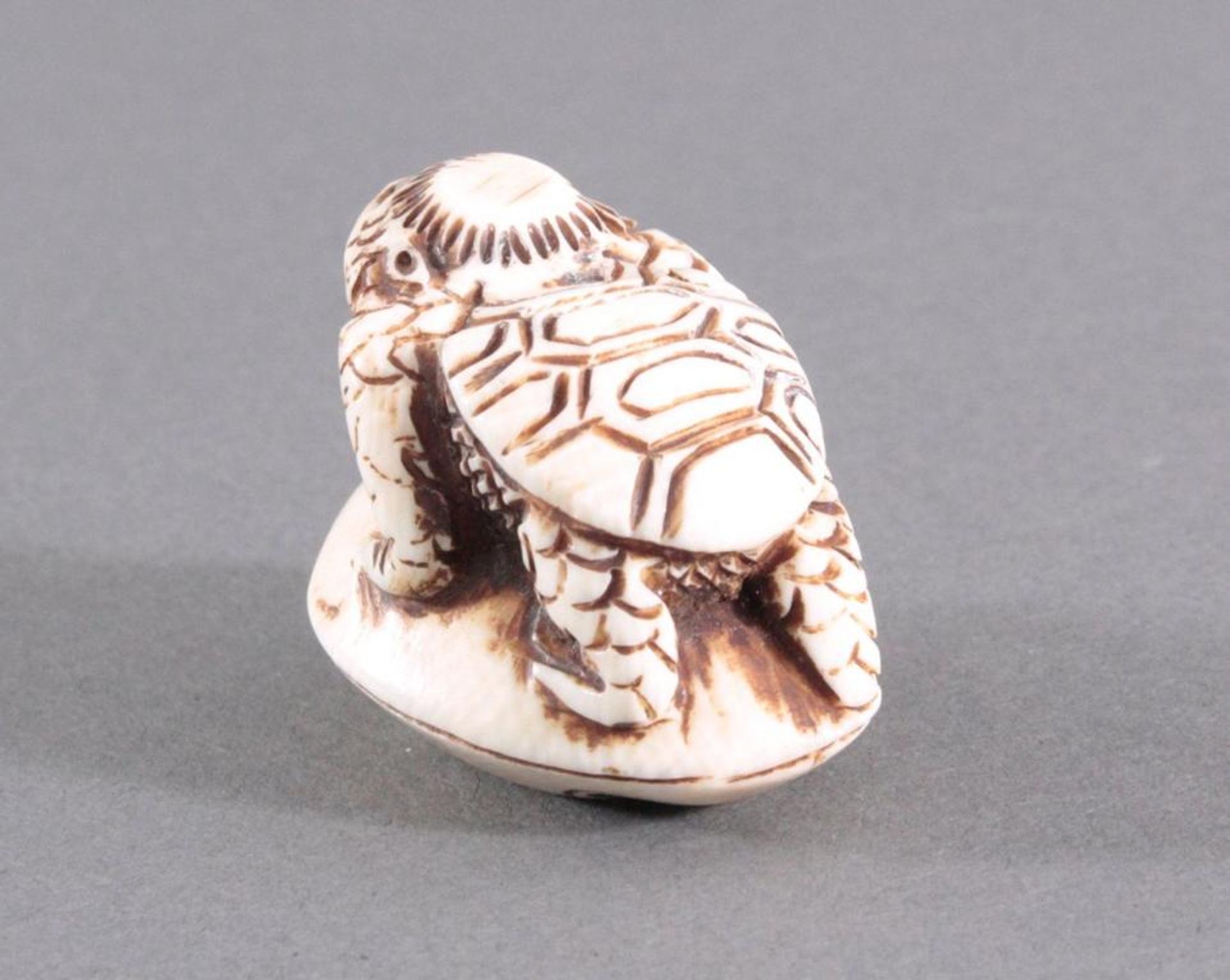 Netsuke, Japan 1. Hälfte 20. Jh., Elfenbein geschnitztVollplastische Schnitzerei, Schildkröte auf - Bild 3 aus 5