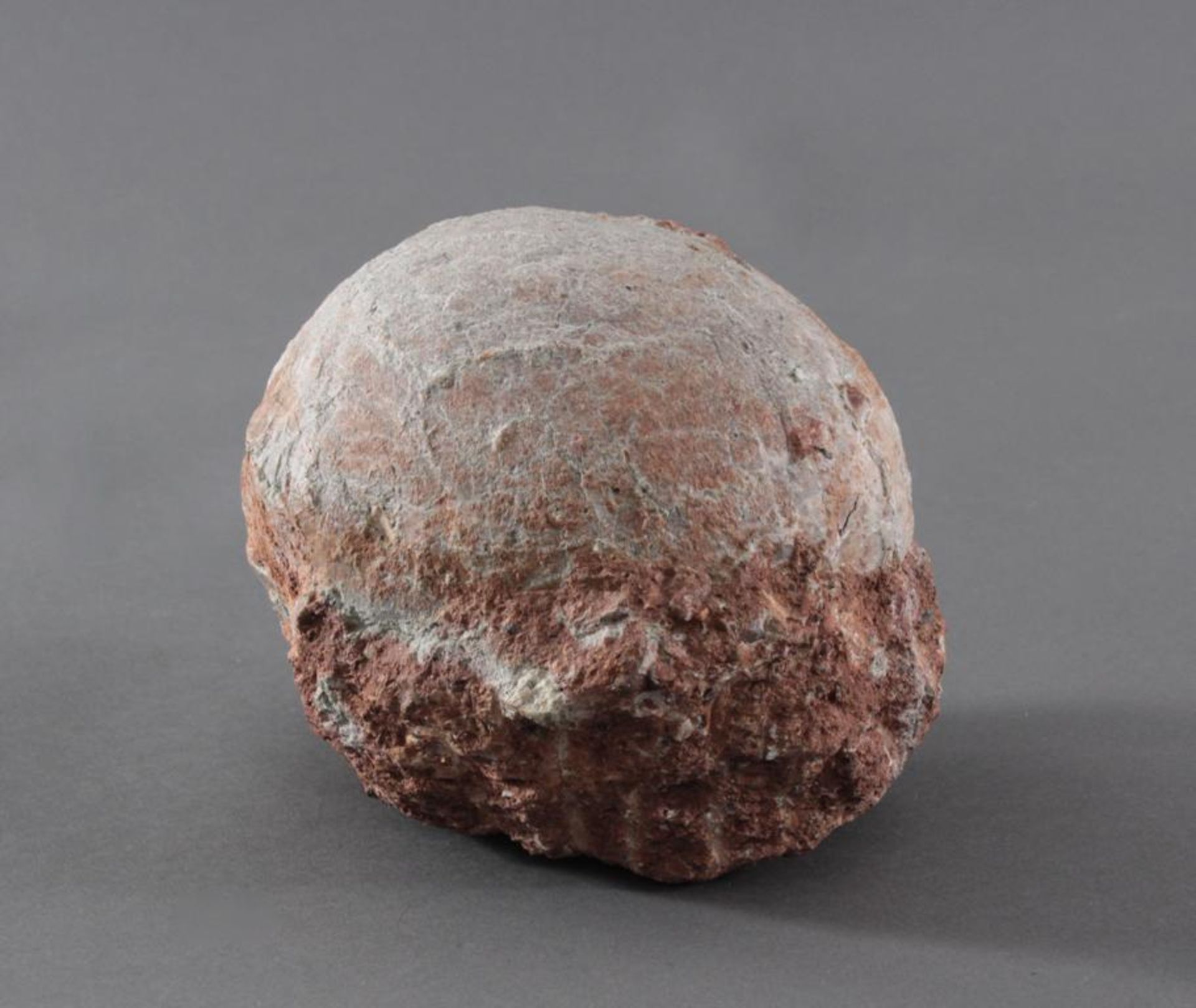 Versteinertes Dinosaurier-Ei, China ca. 80 Millionen Jahre altVersteinertes Ei mit Schlupfloch,