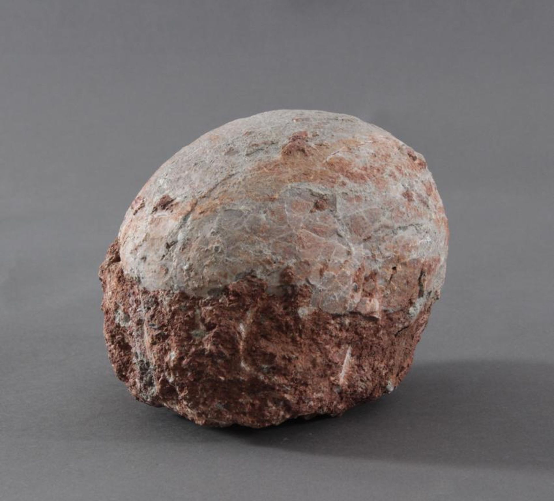 Versteinertes Dinosaurier-Ei, China ca. 80 Millionen Jahre altVersteinertes Ei mit Schlupfloch, - Image 2 of 5