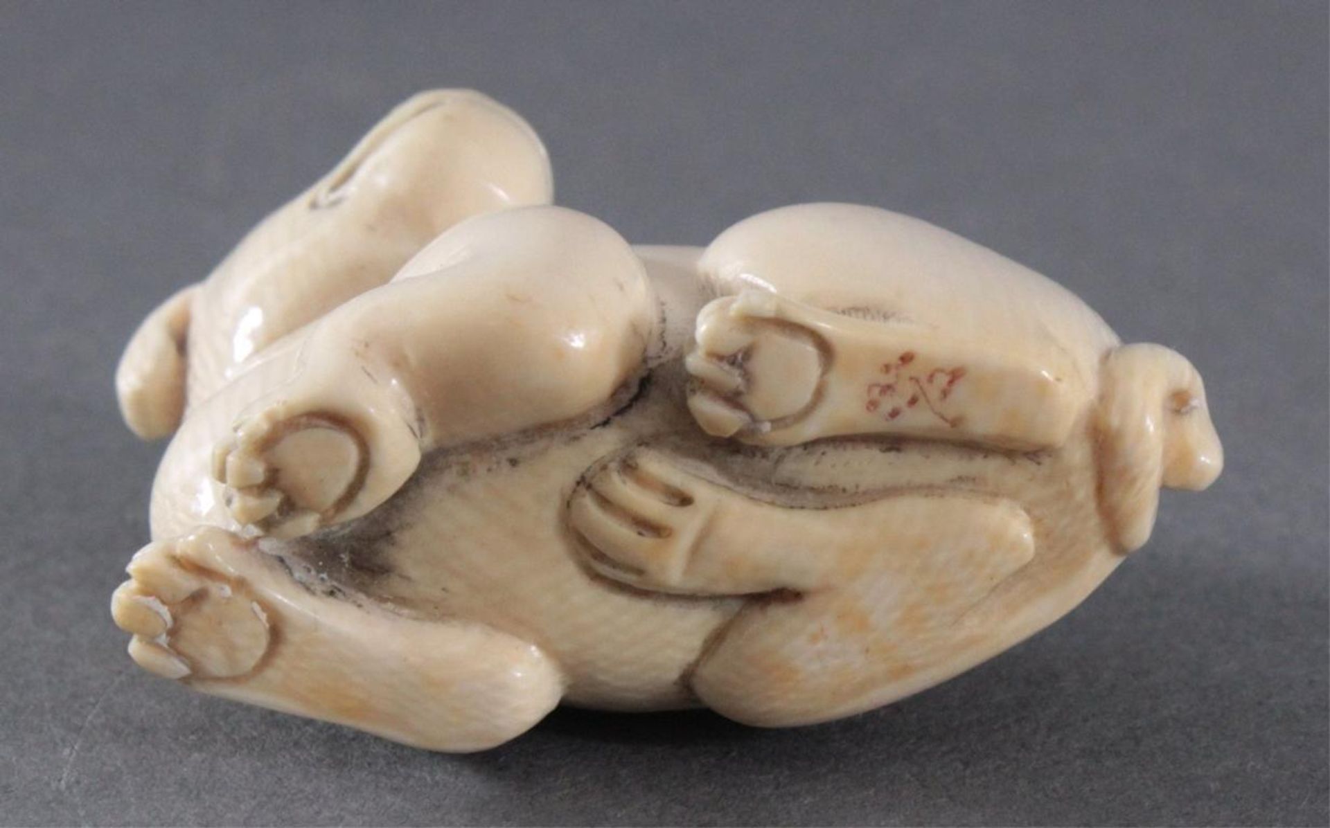 Netsuke, Japan 1. Hälfte 20. Jh., Elfenbein geschnitztliegender Hund, signiert, ca. 3,3 x 4,6 x 2, - Bild 4 aus 4