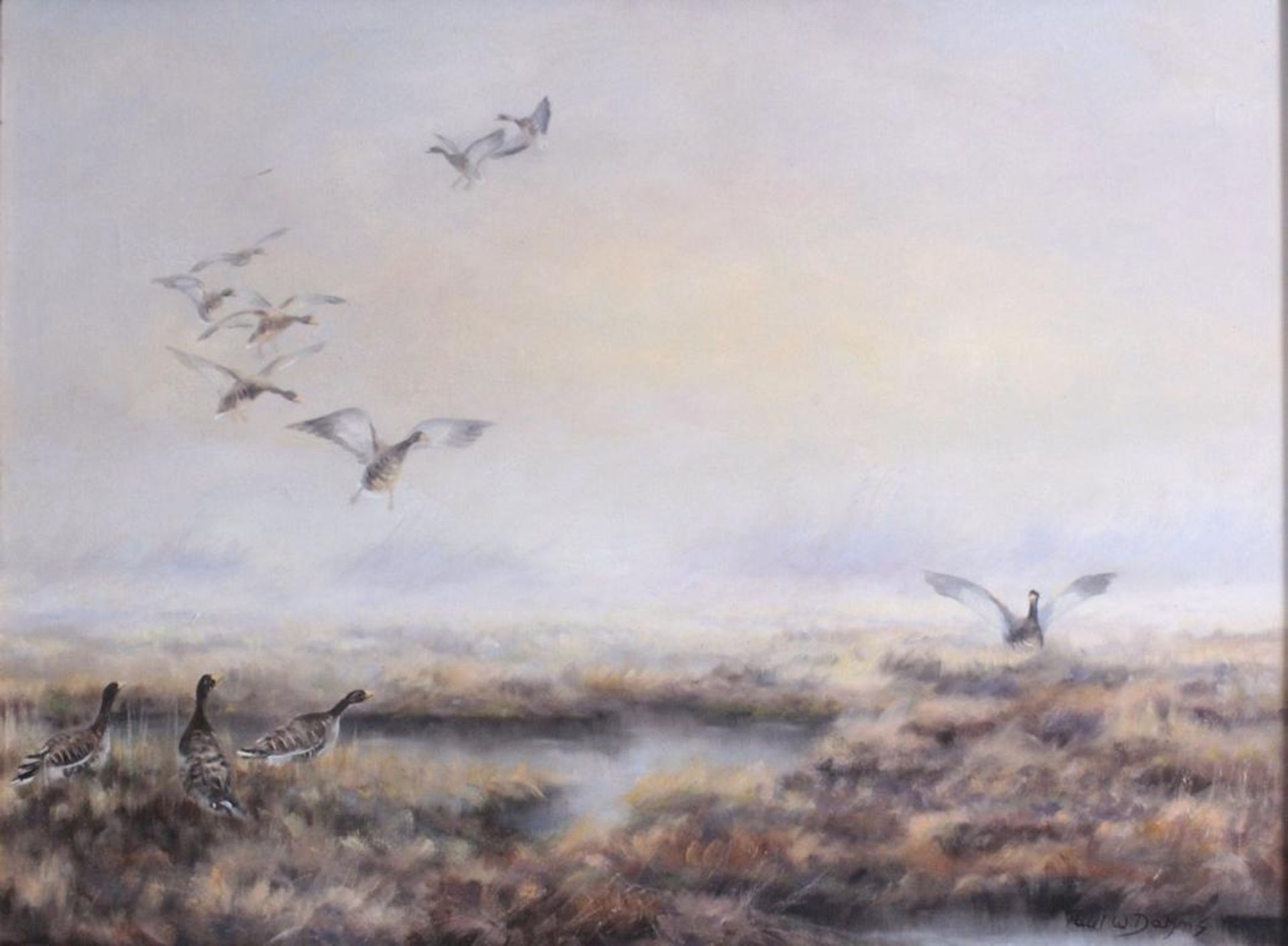 Paul W. Dahms (1913-1988). "Landende Wildenten im Moor"Öl auf Leinwand gemalt, unten rechts - Bild 2 aus 4
