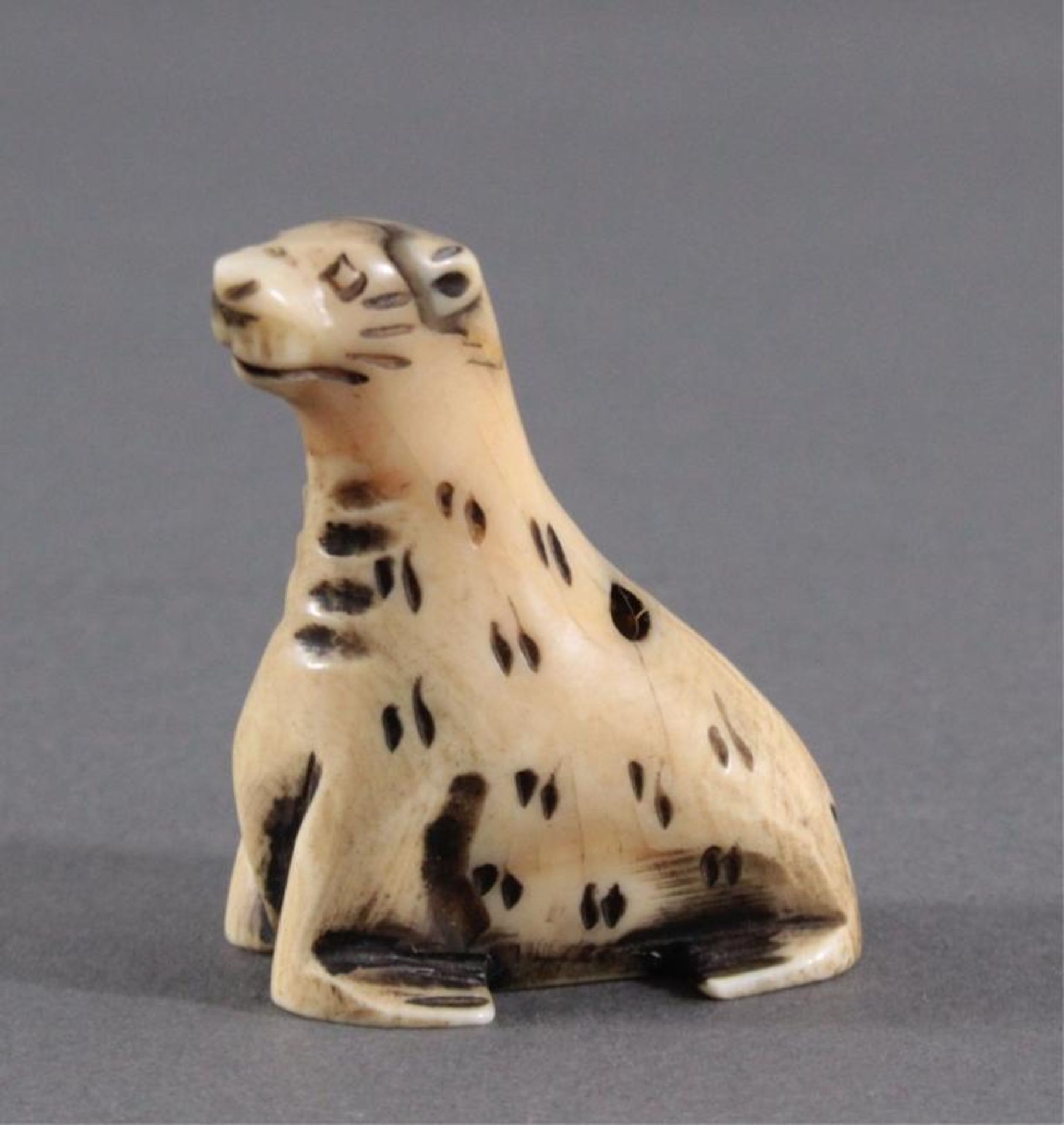 Netsuke, Japan 1. Hälfte 20. Jh., Elfenbein geschnitztSeelöwe, signiert, ca. Höhe 4,5 cm