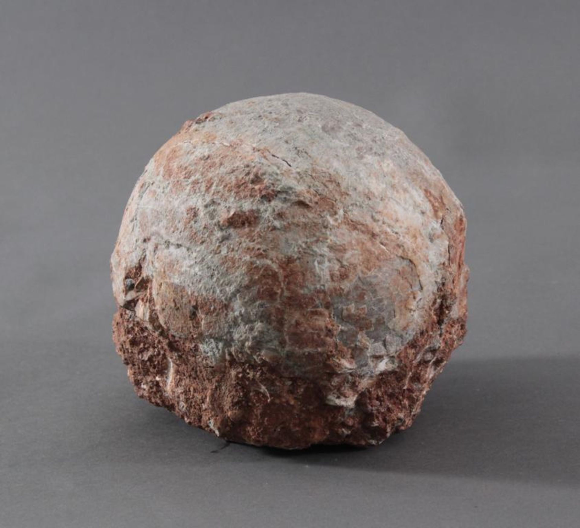 Versteinertes Dinosaurier-Ei, China ca. 80 Millionen Jahre altVersteinertes Ei mit Schlupfloch, - Bild 3 aus 5
