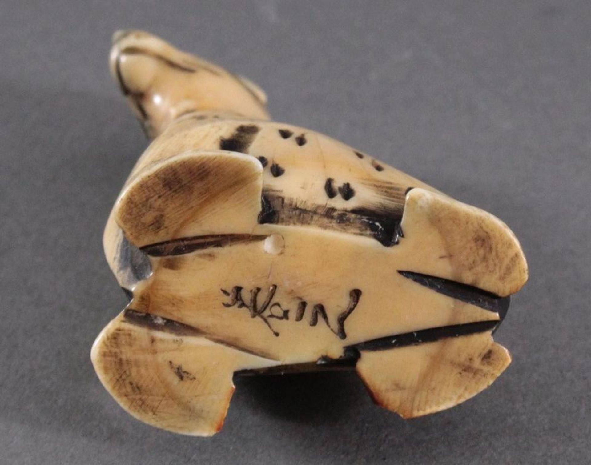 Netsuke, Japan 1. Hälfte 20. Jh., Elfenbein geschnitztSeelöwe, signiert, ca. Höhe 4,5 cm - Bild 4 aus 4